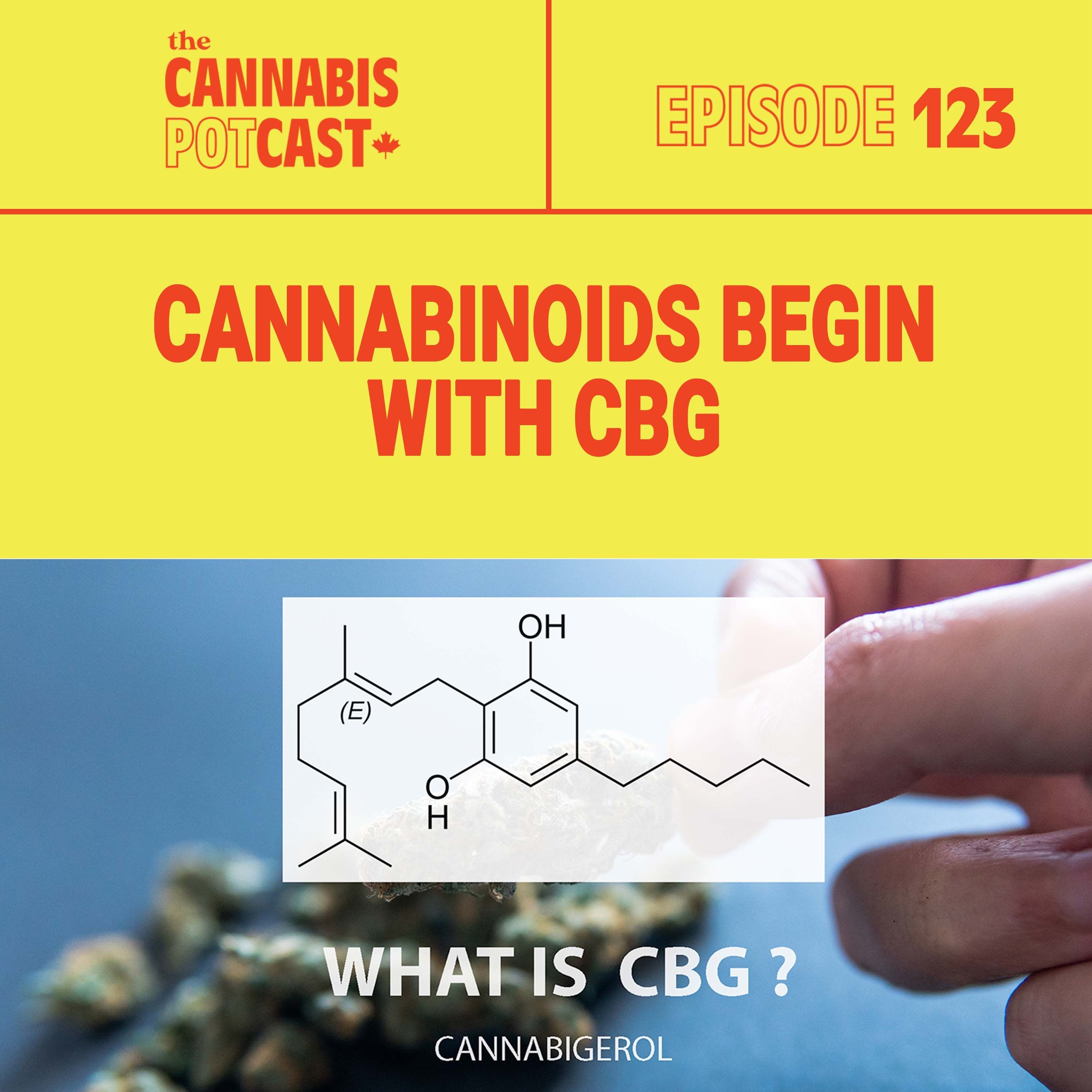 Cannabinoids begin with CBG