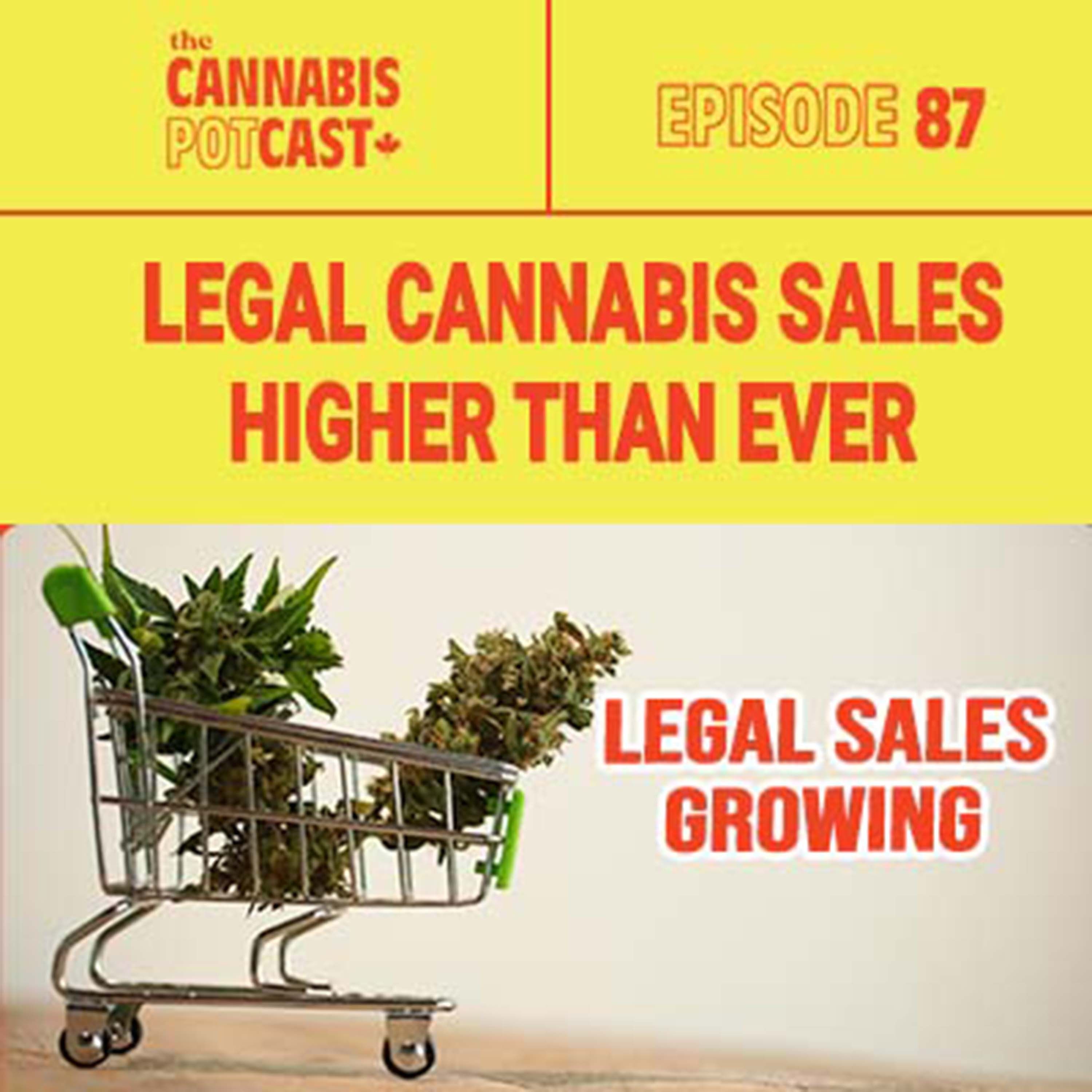 Legal Cannabis Sales Higher Than Ever.