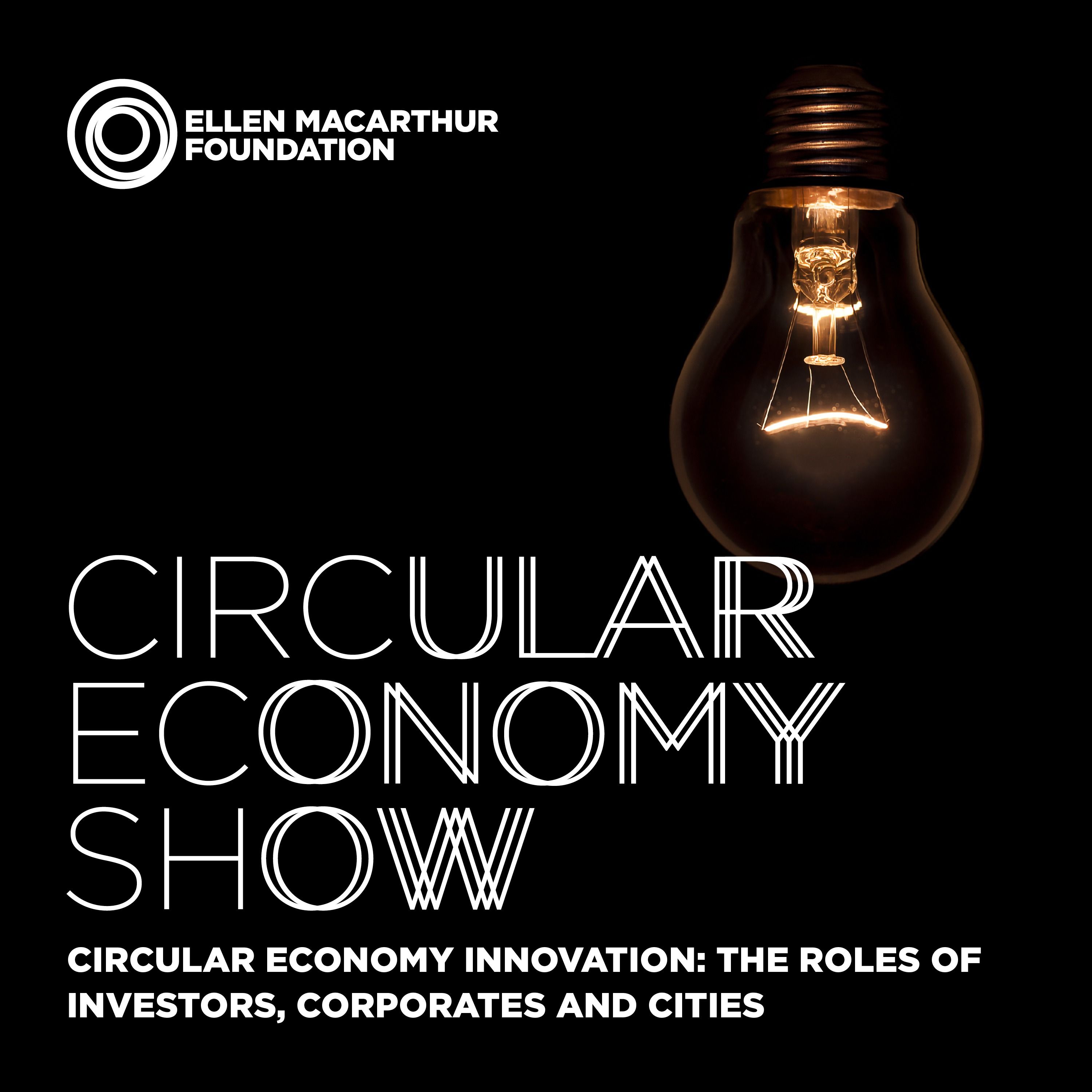 Circular economy innovation: The roles of investors, corporates and cities