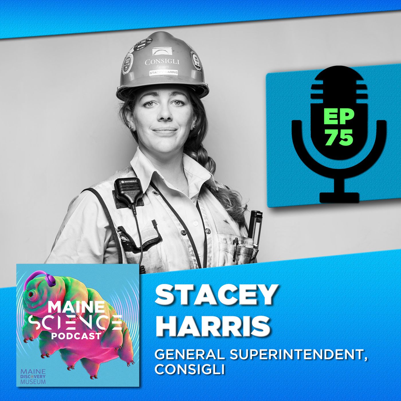 Stacey Harris (civil engineering / construction)