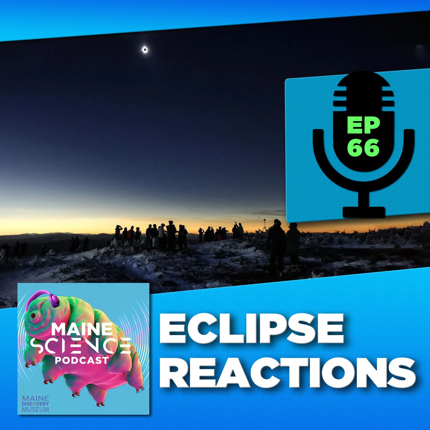 Eclipse Reactions