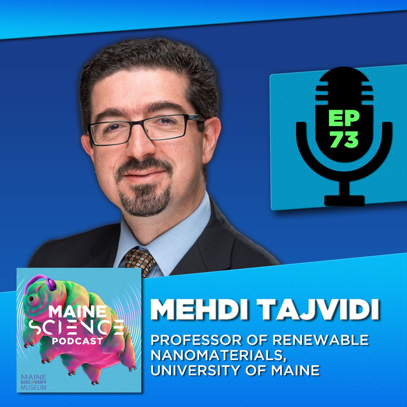Mehdi Tajvidi (renewable nanomaterials)