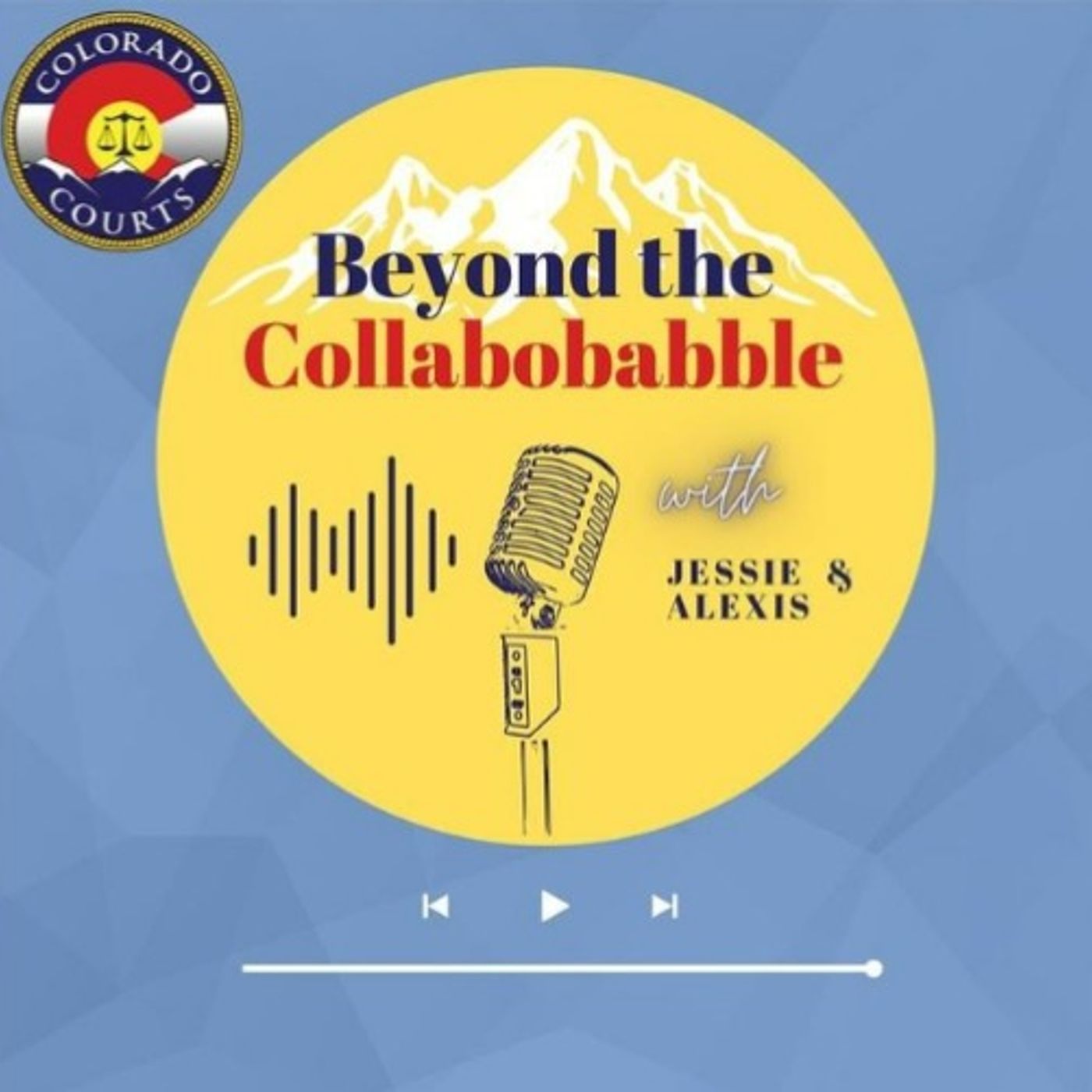 Jessica Brill Deputy Director of Court Services, SCAO