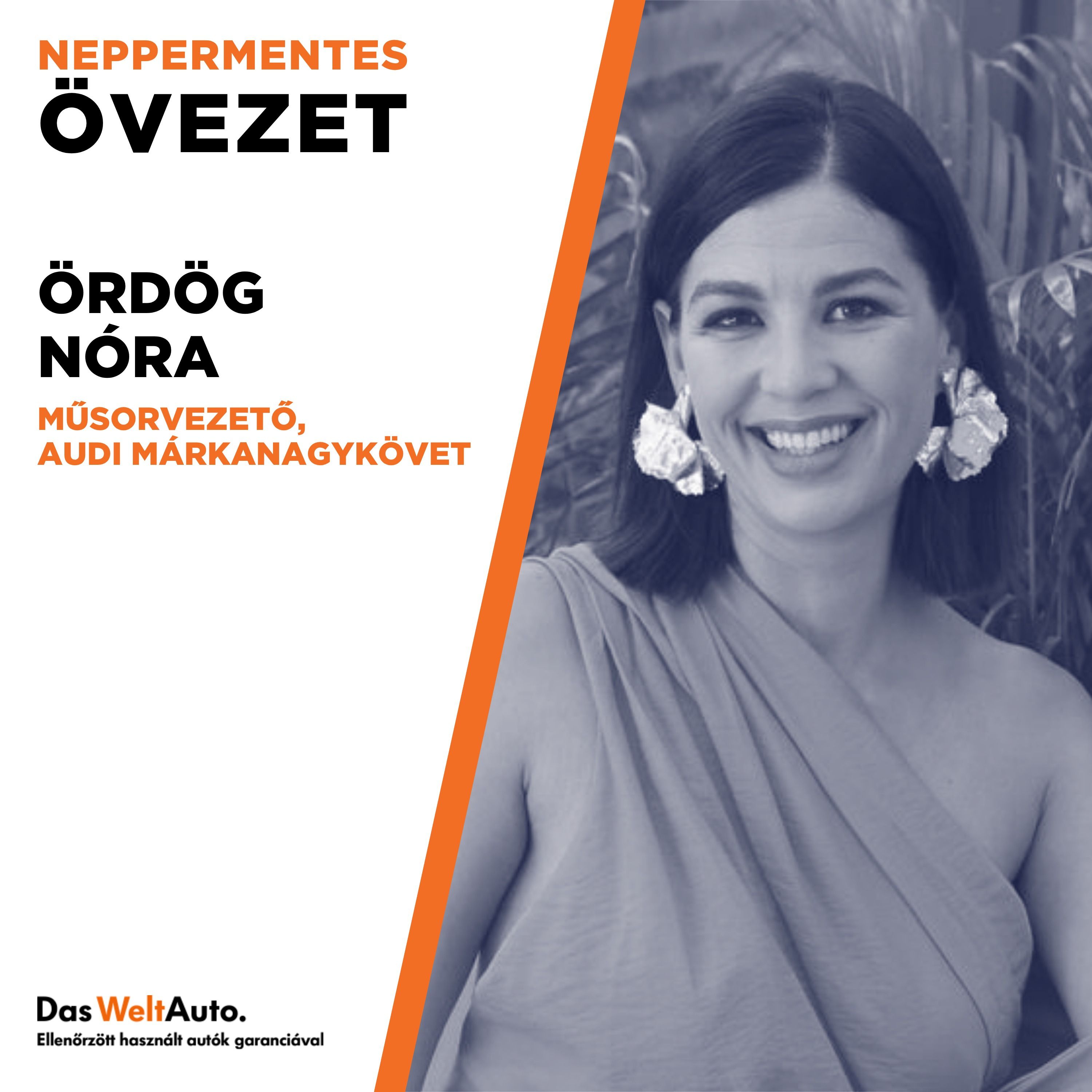 Neppermentes övezet