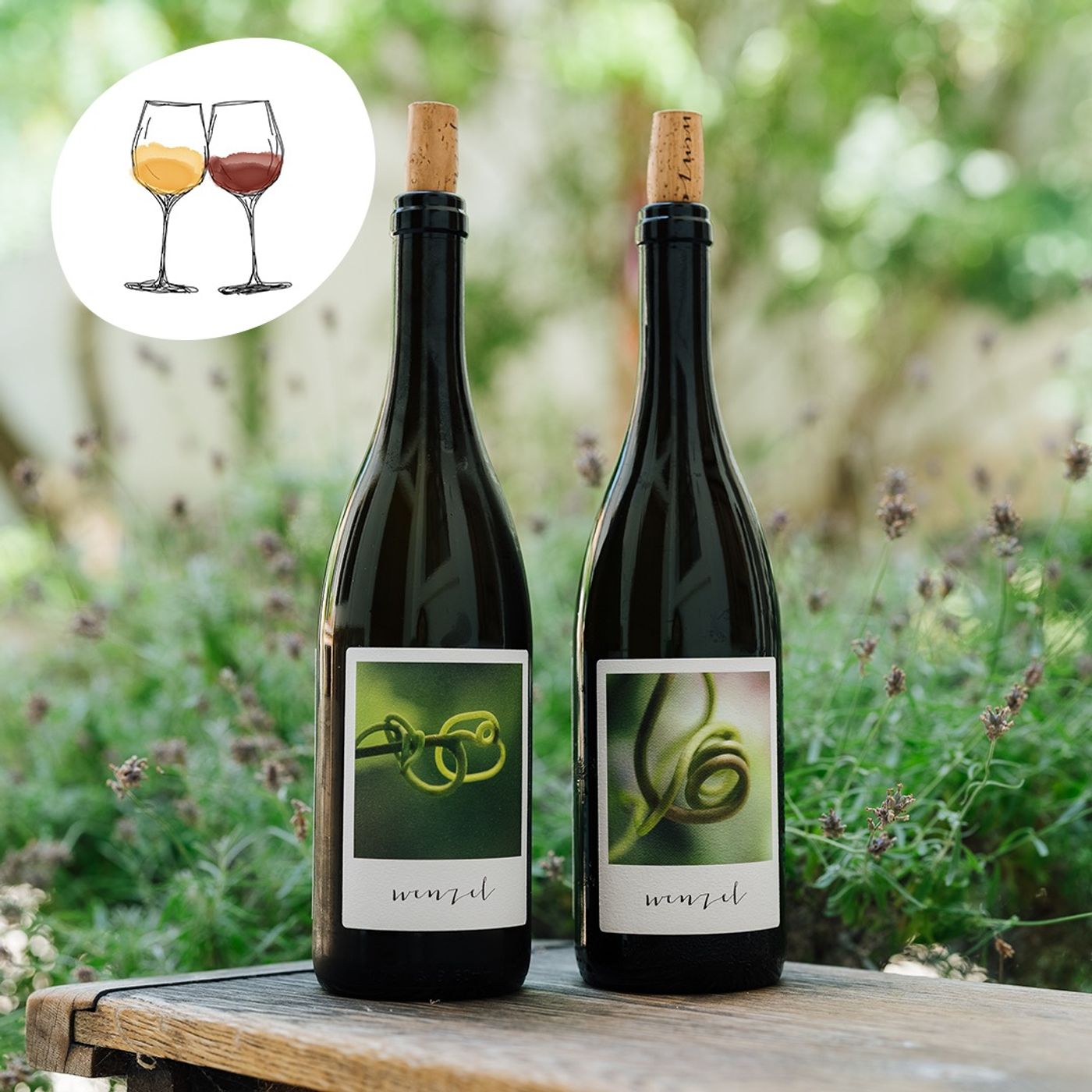 #262 Michael Wenzel & Sonja Priller: Furmint Alte Reben 2023 episode artwork