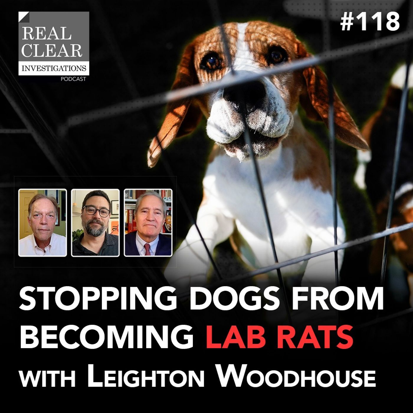 Stopping Dogs From Becoming Lab Rats with Leighton Woodhouse | RealClearInvestigations Podcast #118