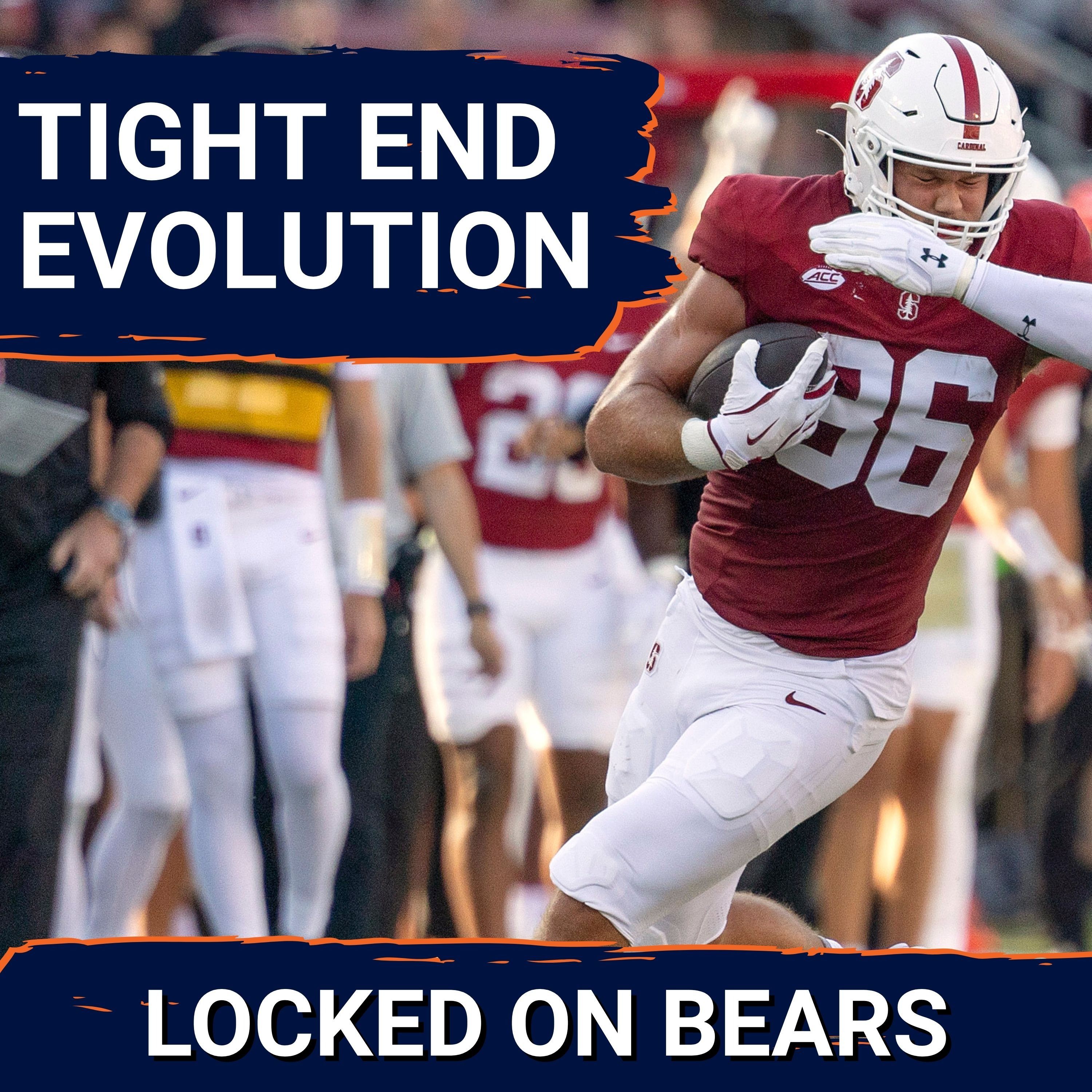 How Sam Roush fits with Colston Loveland and Cole Kmet in Ben Johnson’s crowded Chicago Bears TE room