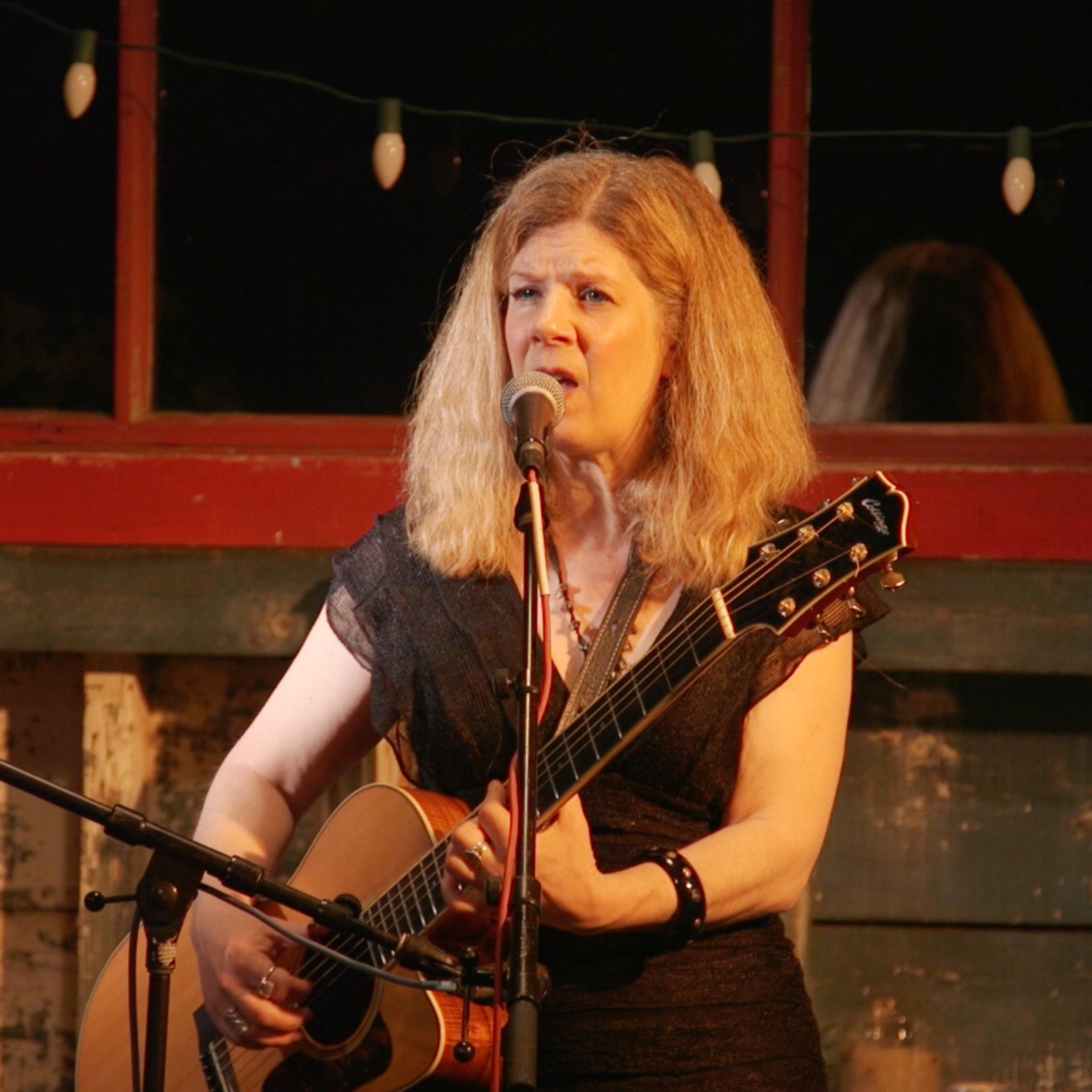 Dar Williams in Concert