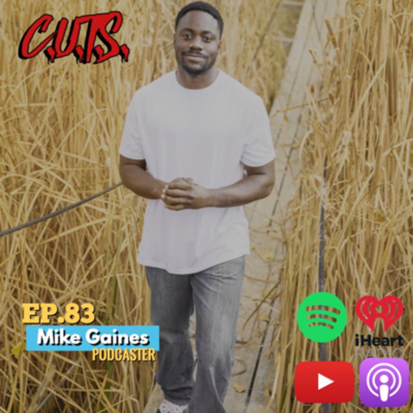 Season 4, Episode 83: What is "The Positive Gaines"? - Mike Gaines Interview episode artwork