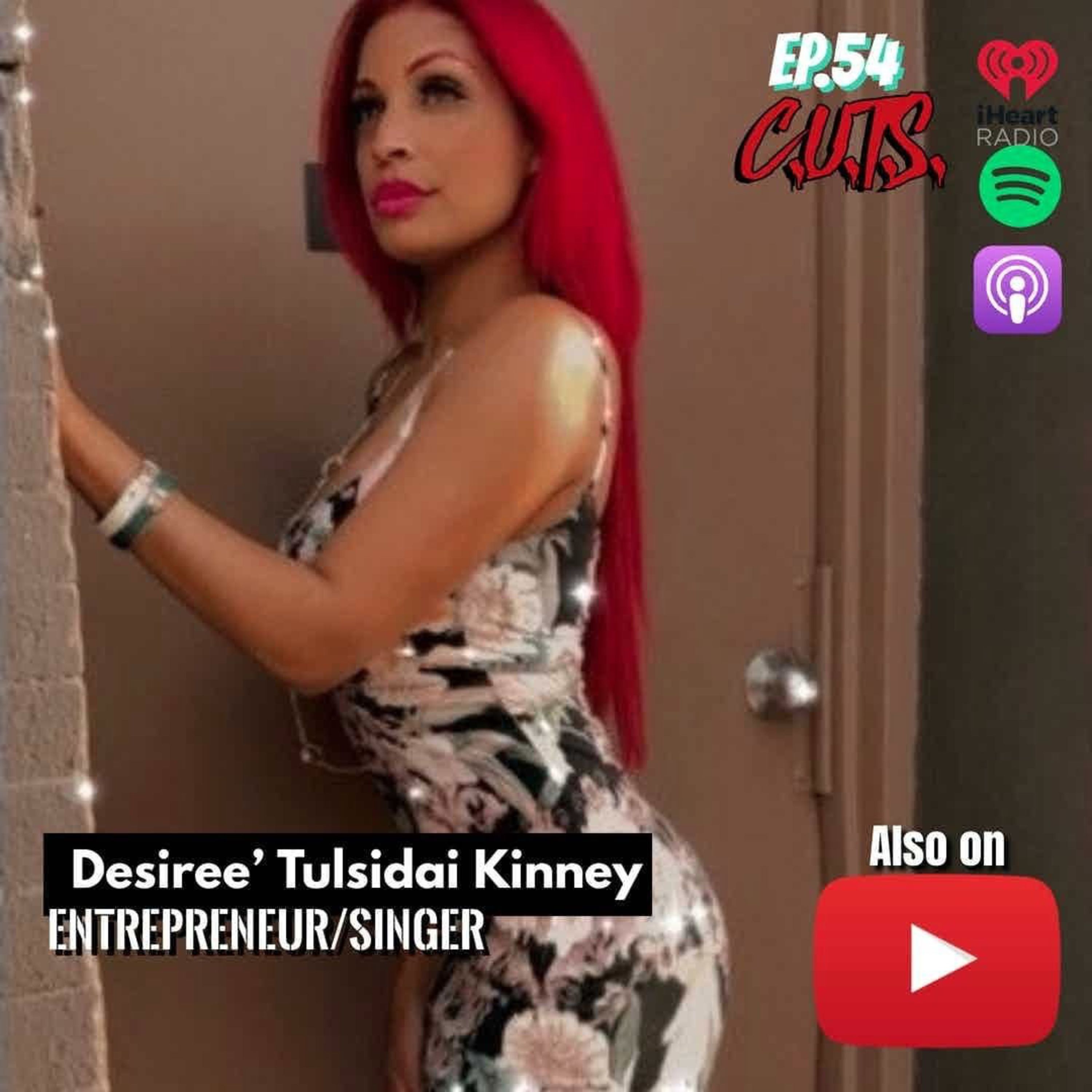 Season 3, Episode 54: "Can You Make Music, and Still Save Businesses?" - Desiree Tulsidai Kinney Interview episode artwork