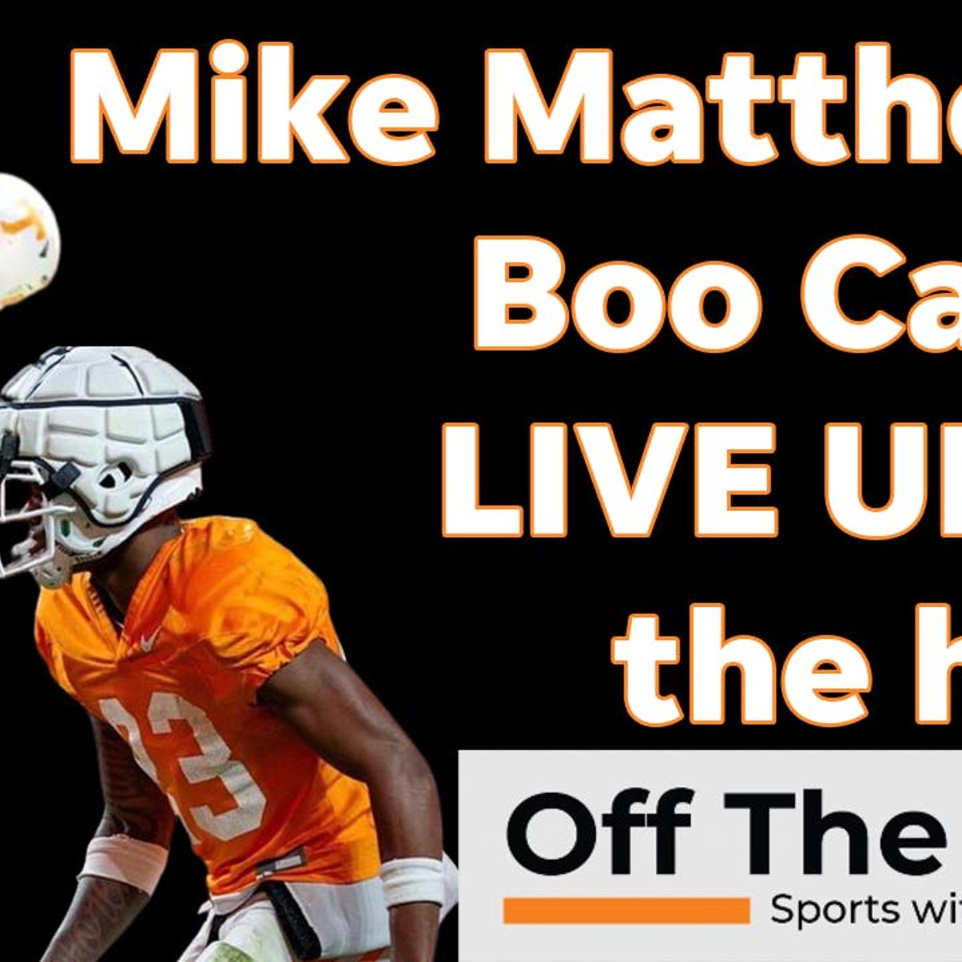 Boo Carter, Mike Matthews: Vols' spring game standouts