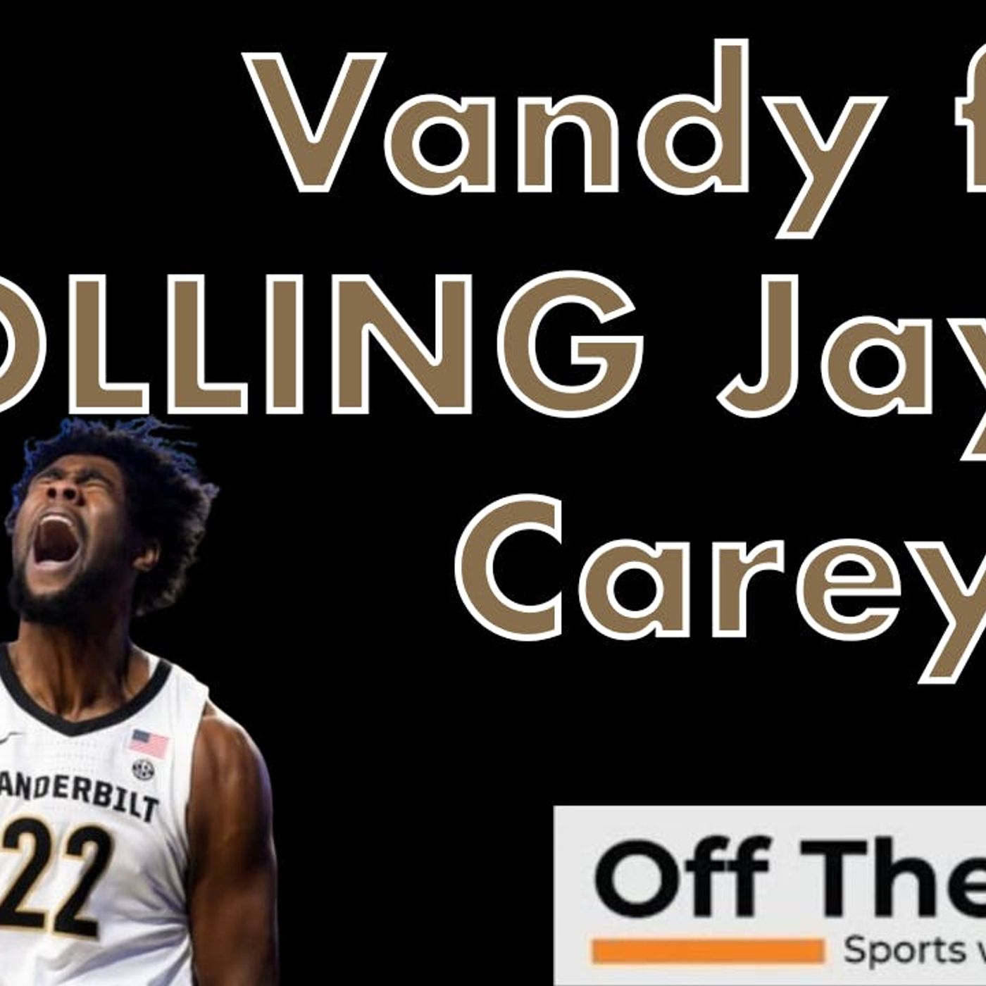 Jaylen Carey: Vols transfer F discusses hate received from previous school (Vandy)