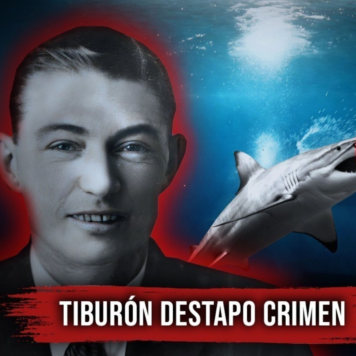 El TIBURÓN que escupió un BRAZ0 y DESTAPÓ un caso criminal terrible en Australia — Paul Landó cover