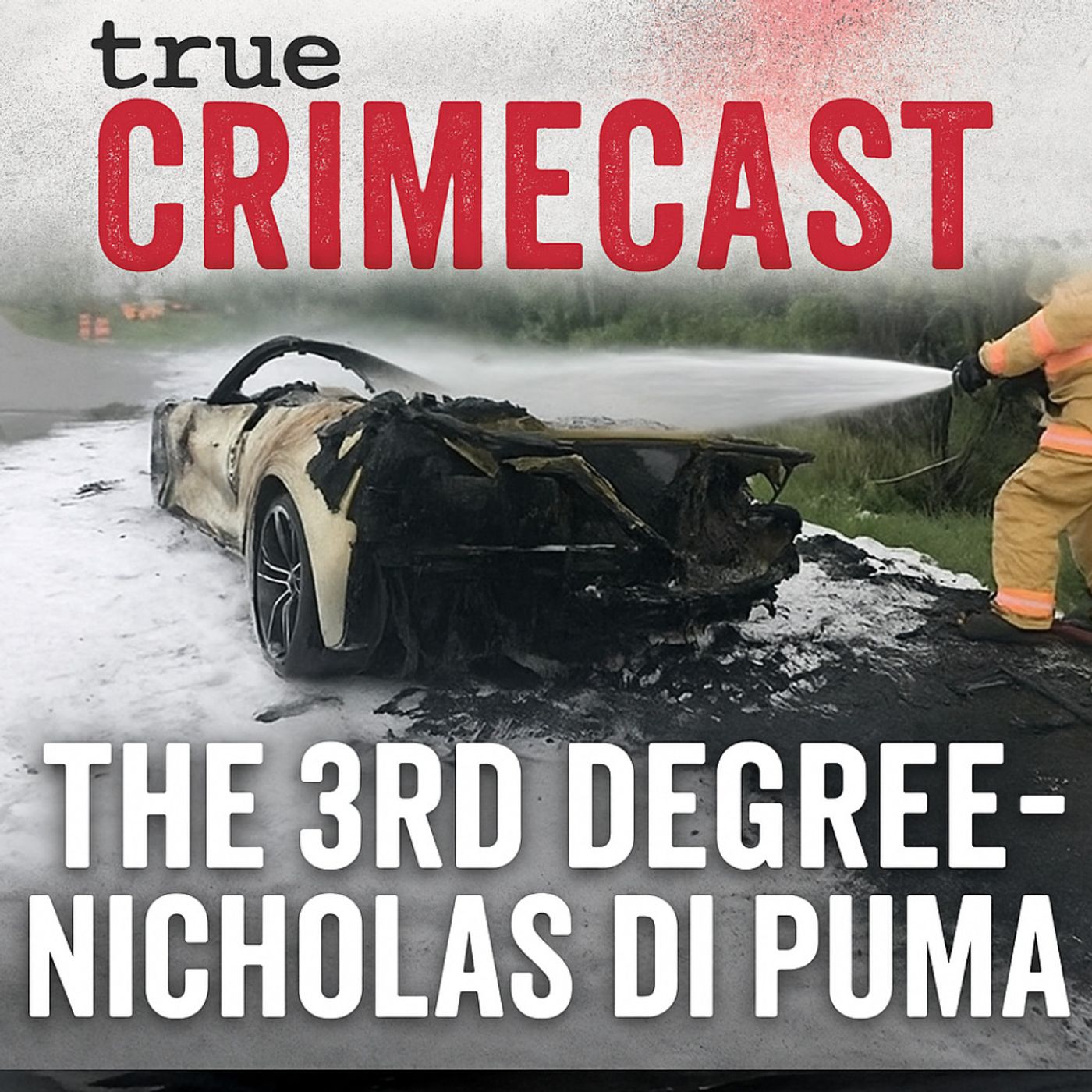 The 3rd Degree - Nicholas Di Puma