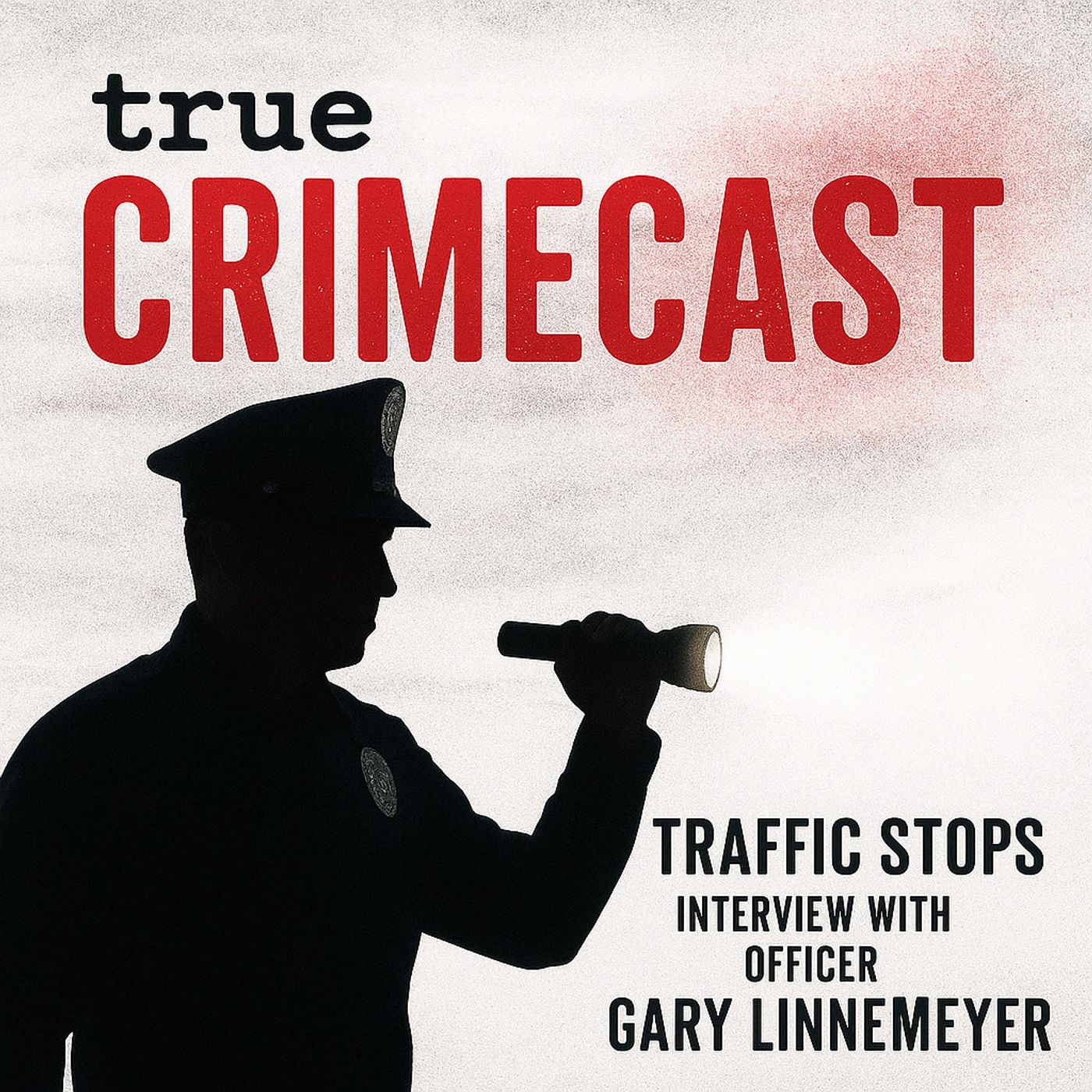 Traffic Stops - Interview with Officer Gary Linnemeyer