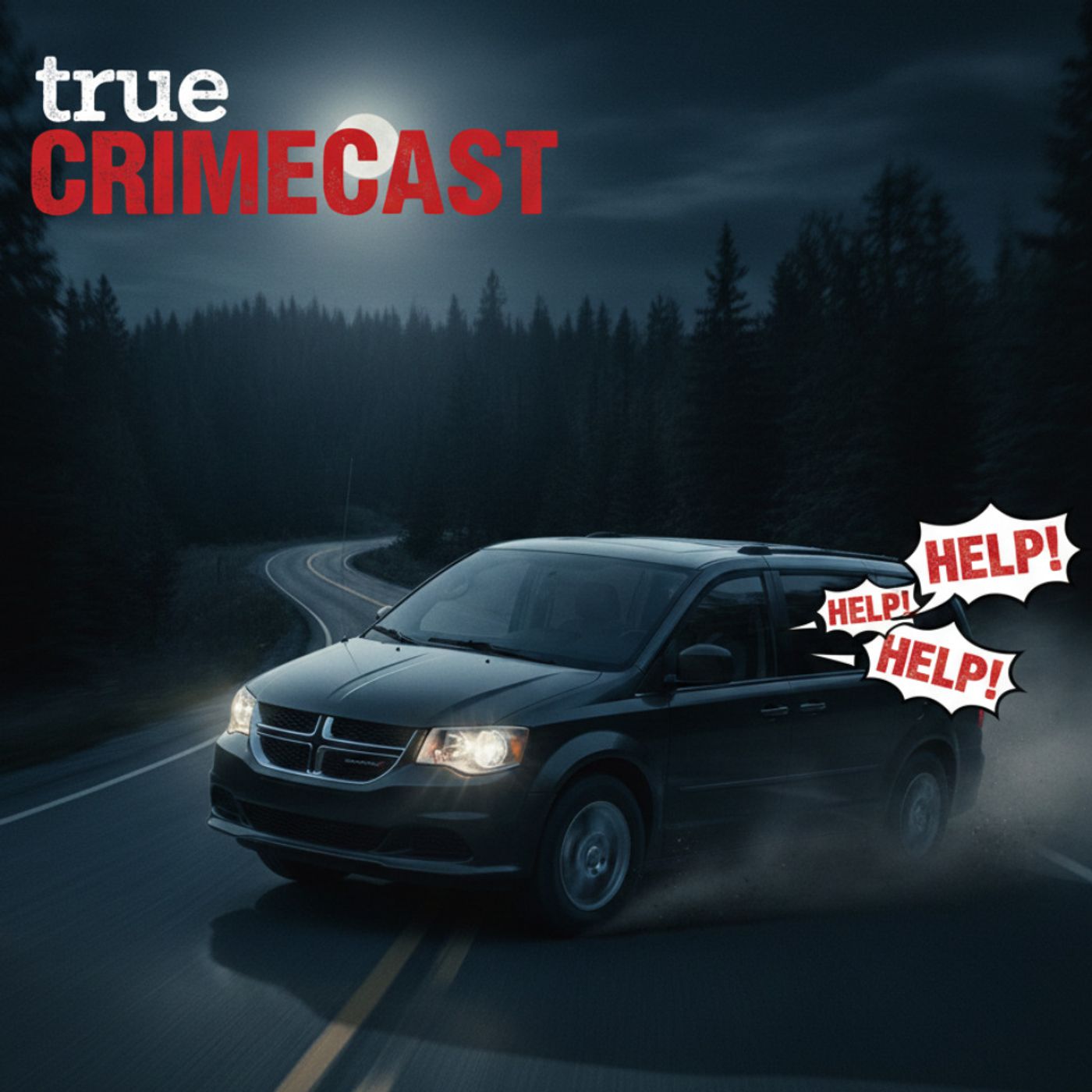 Something's Wrong - Diane Schuler