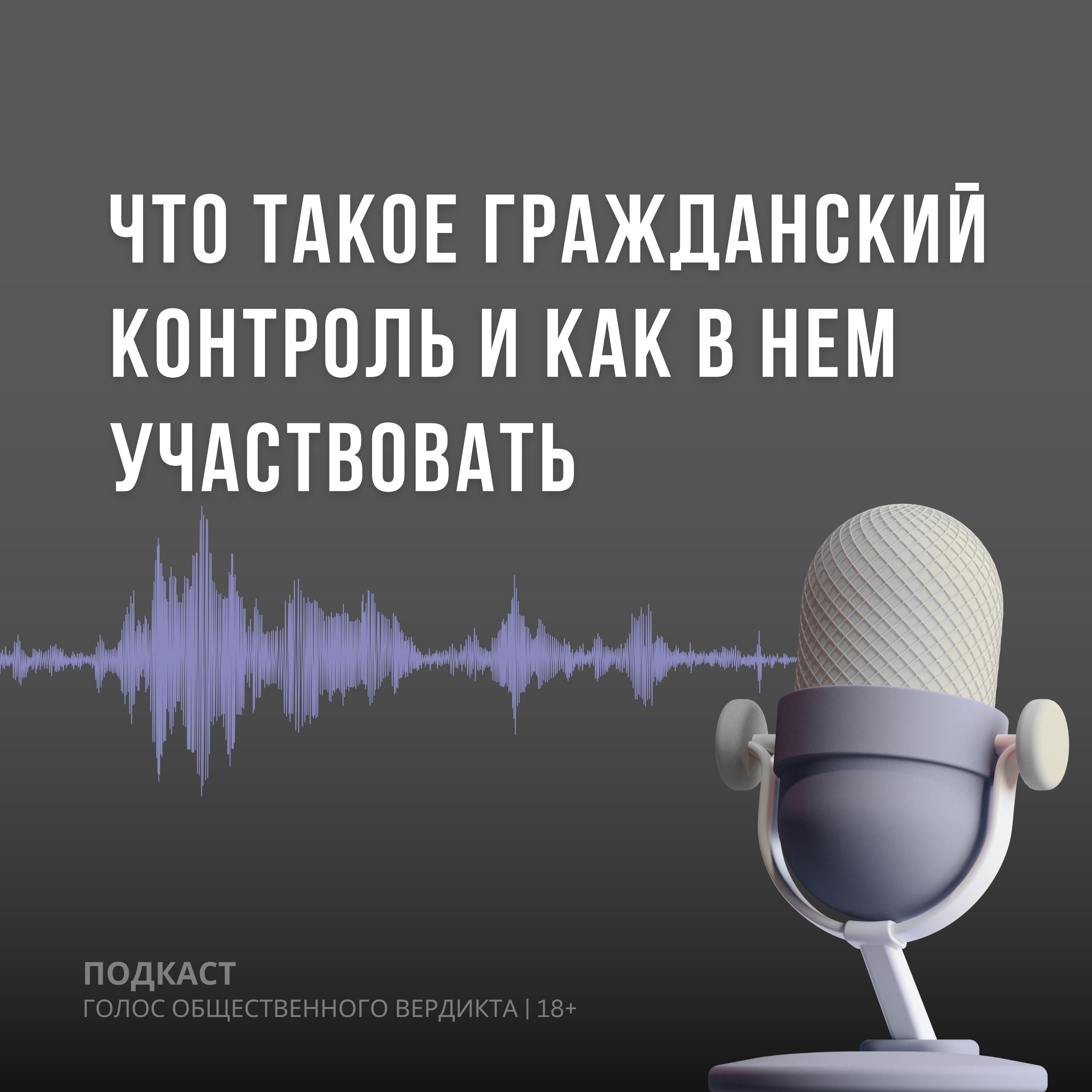 Что такое гражданский контроль и как в нем участвовать