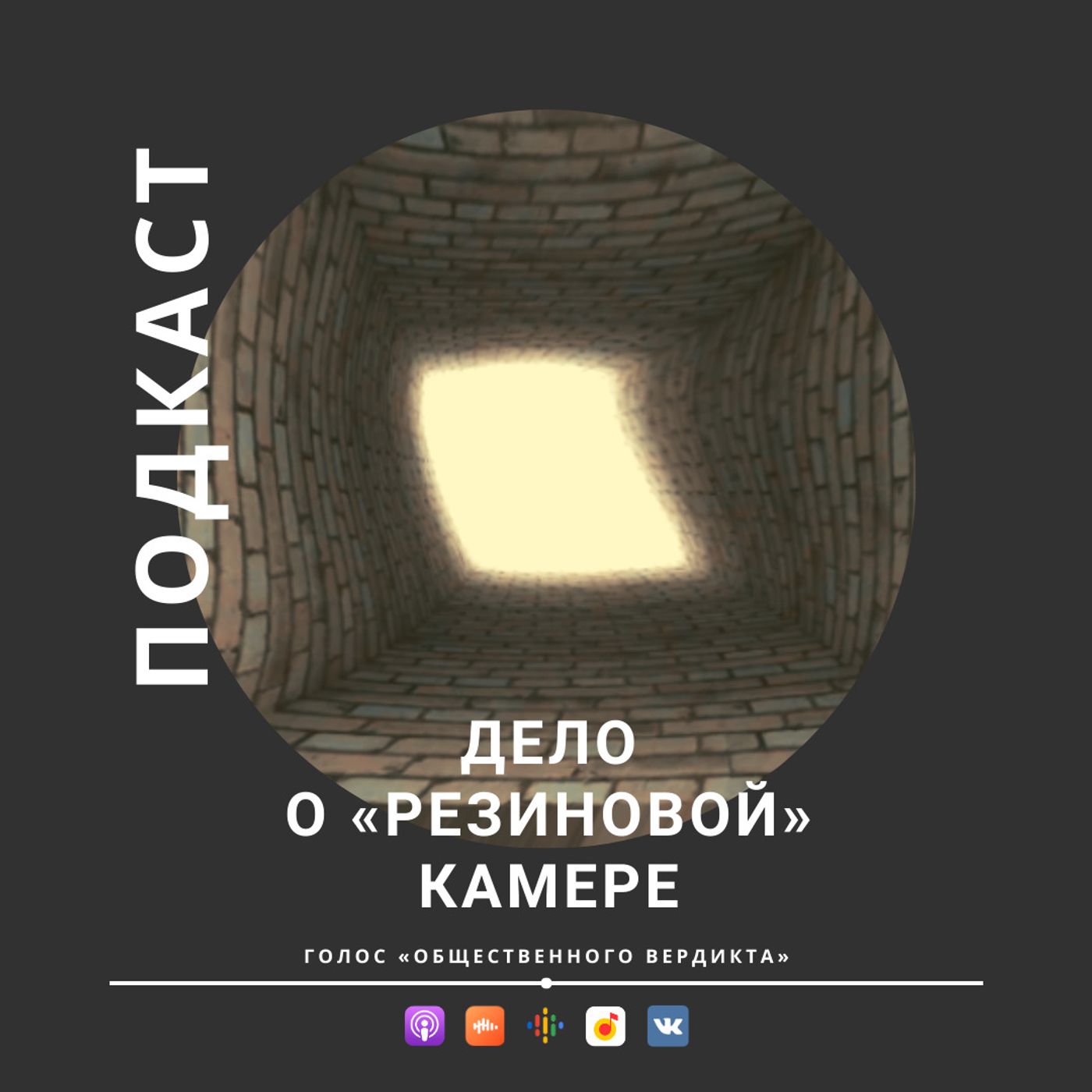 Дело о «резиновой» камере