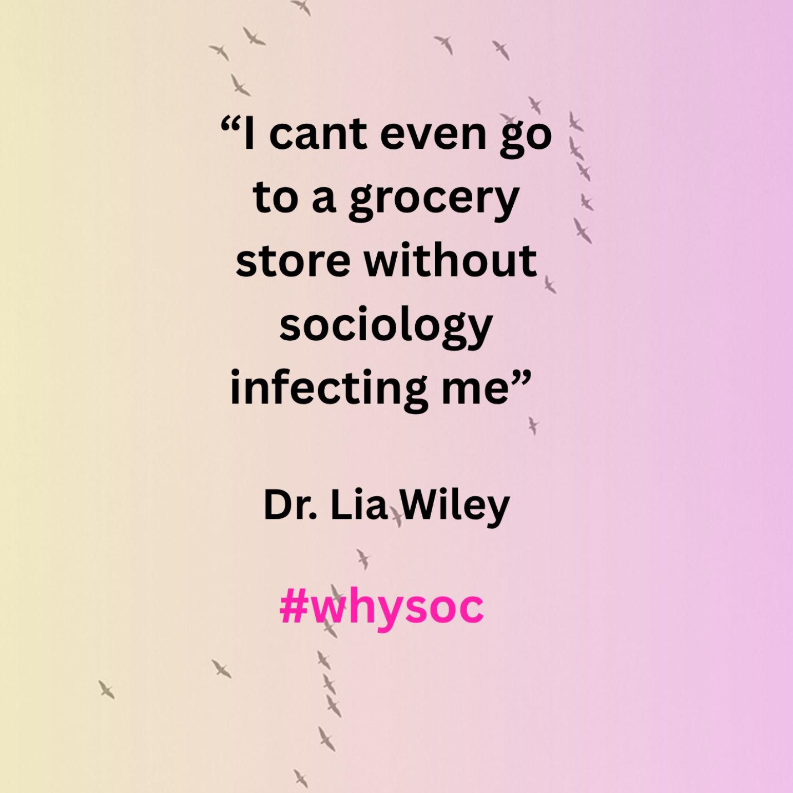 Lia Wiley - Professor of Instruction and Advisor episode artwork