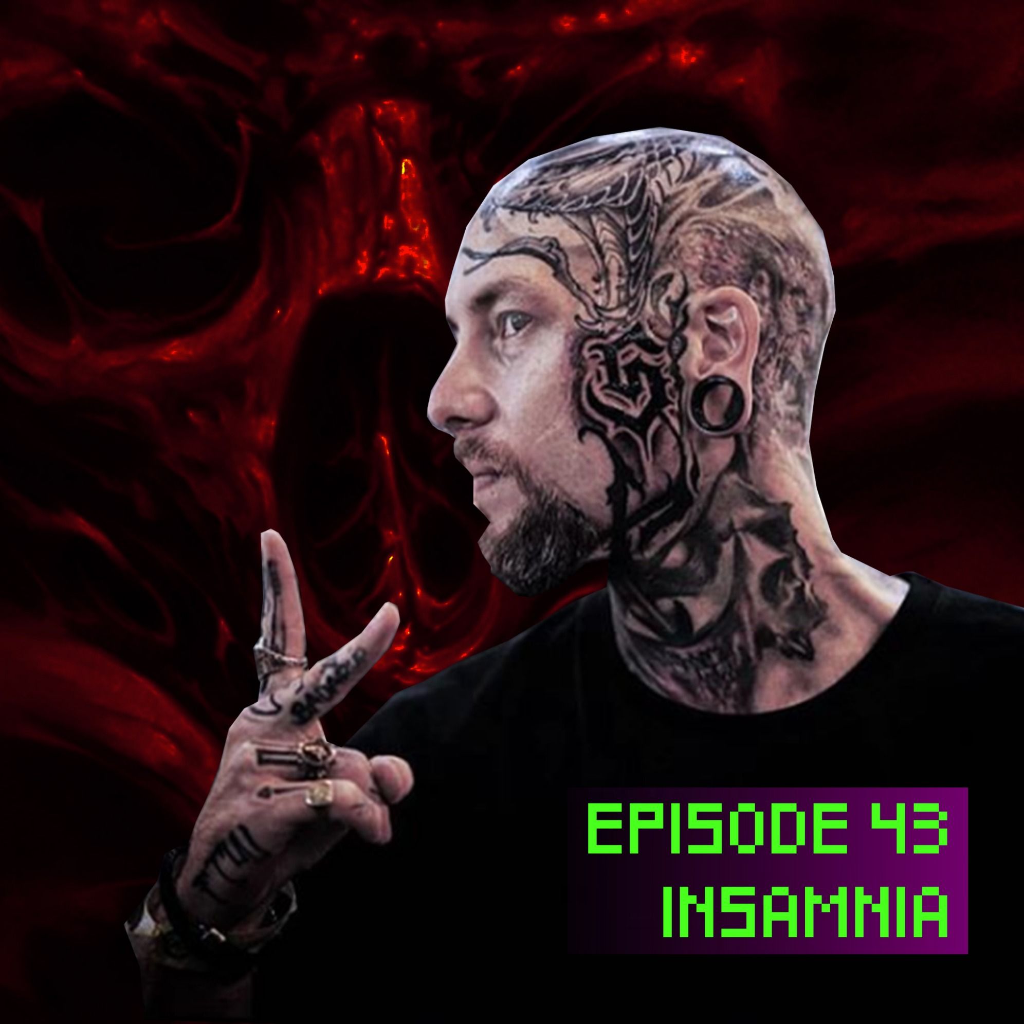 43 - INSAMNIA