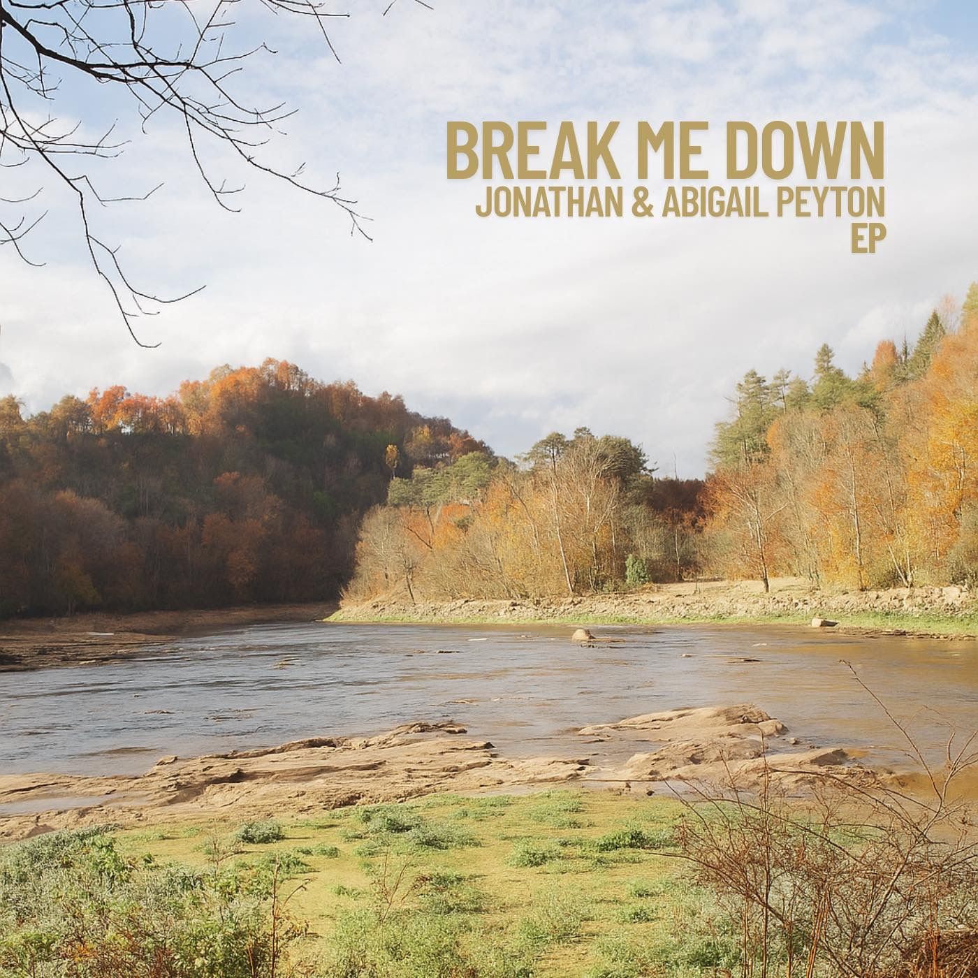 Welcome to the Woodshed