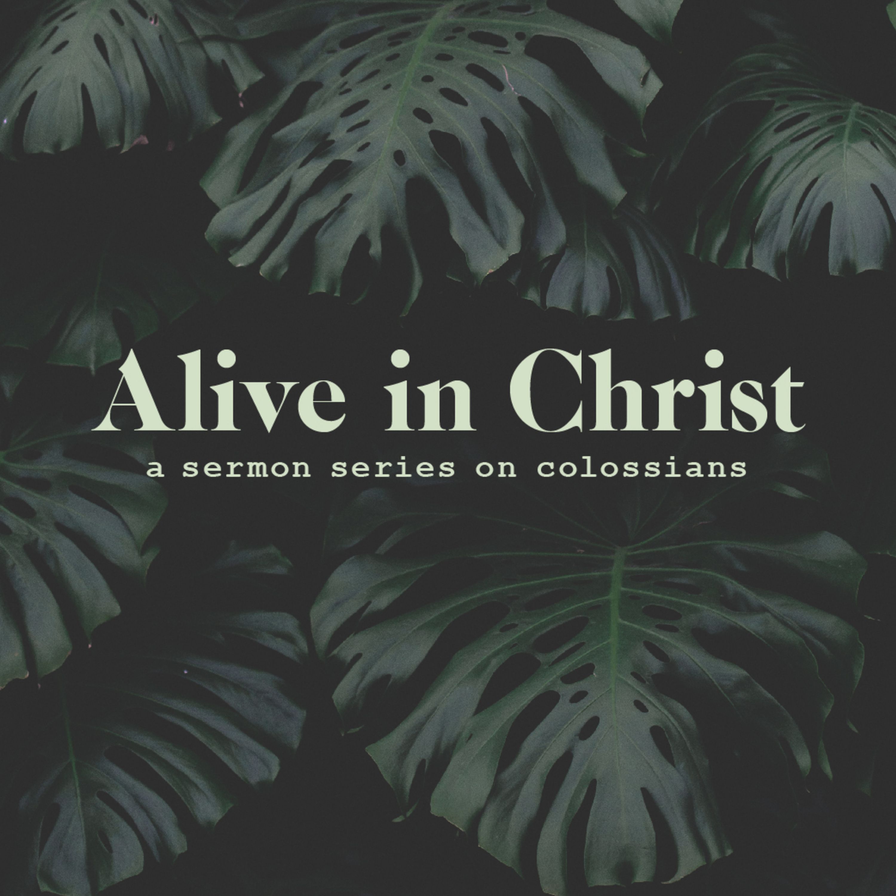 Christ Fellowship Cherrydale [Sermons]