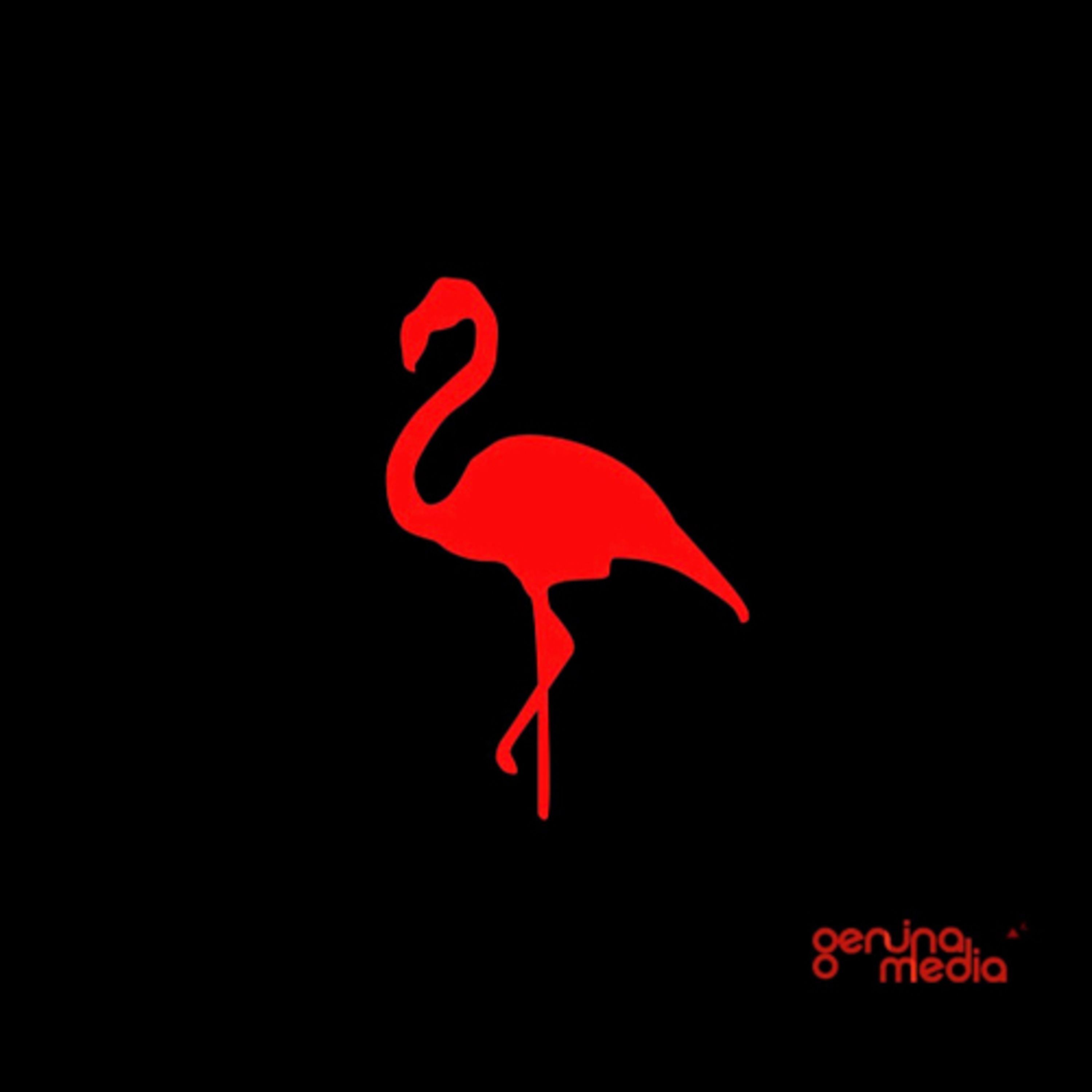 The Red Flamingo podcast show image