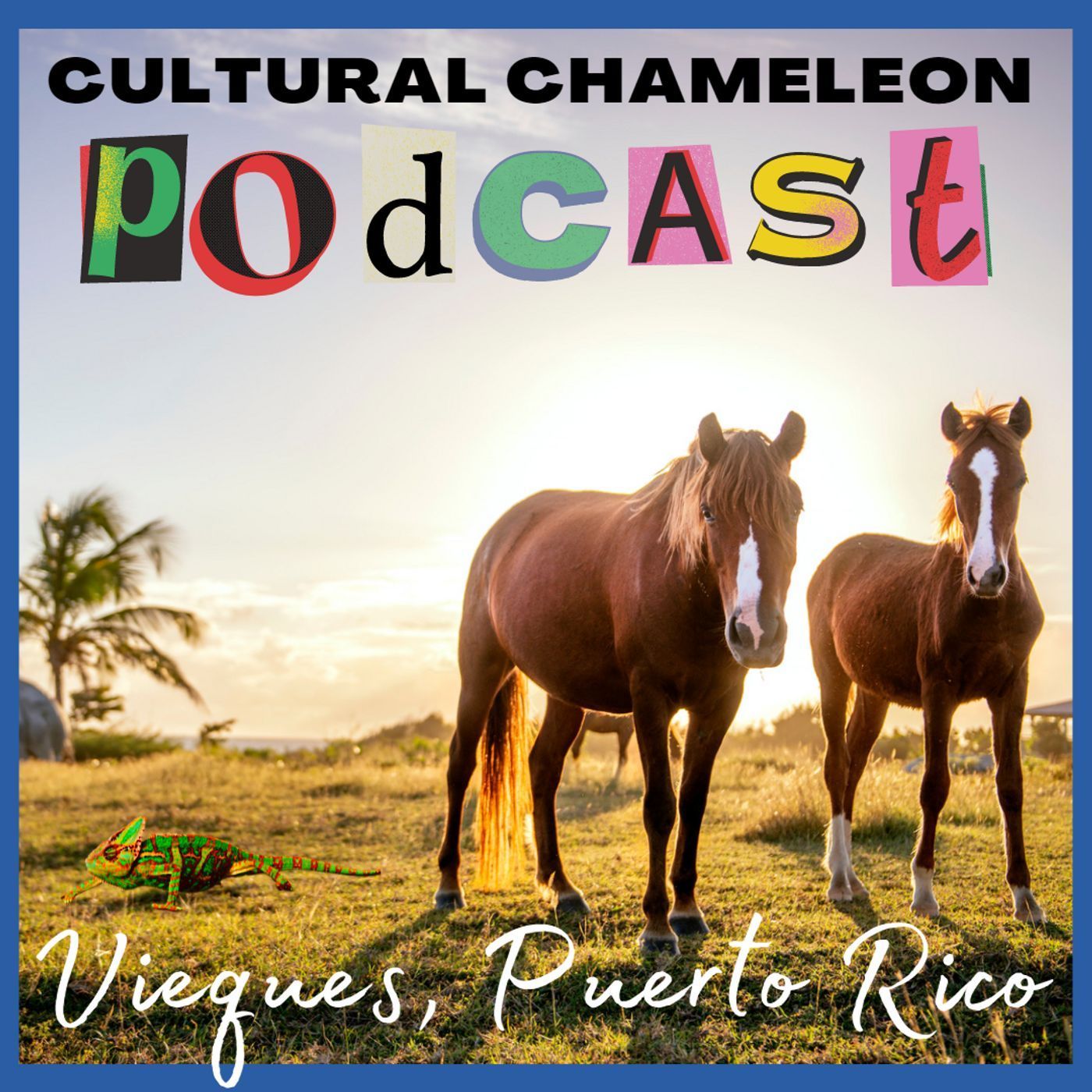 Cultural Chameleon Episode 6 - Vieques, Puerto Rico episode artwork