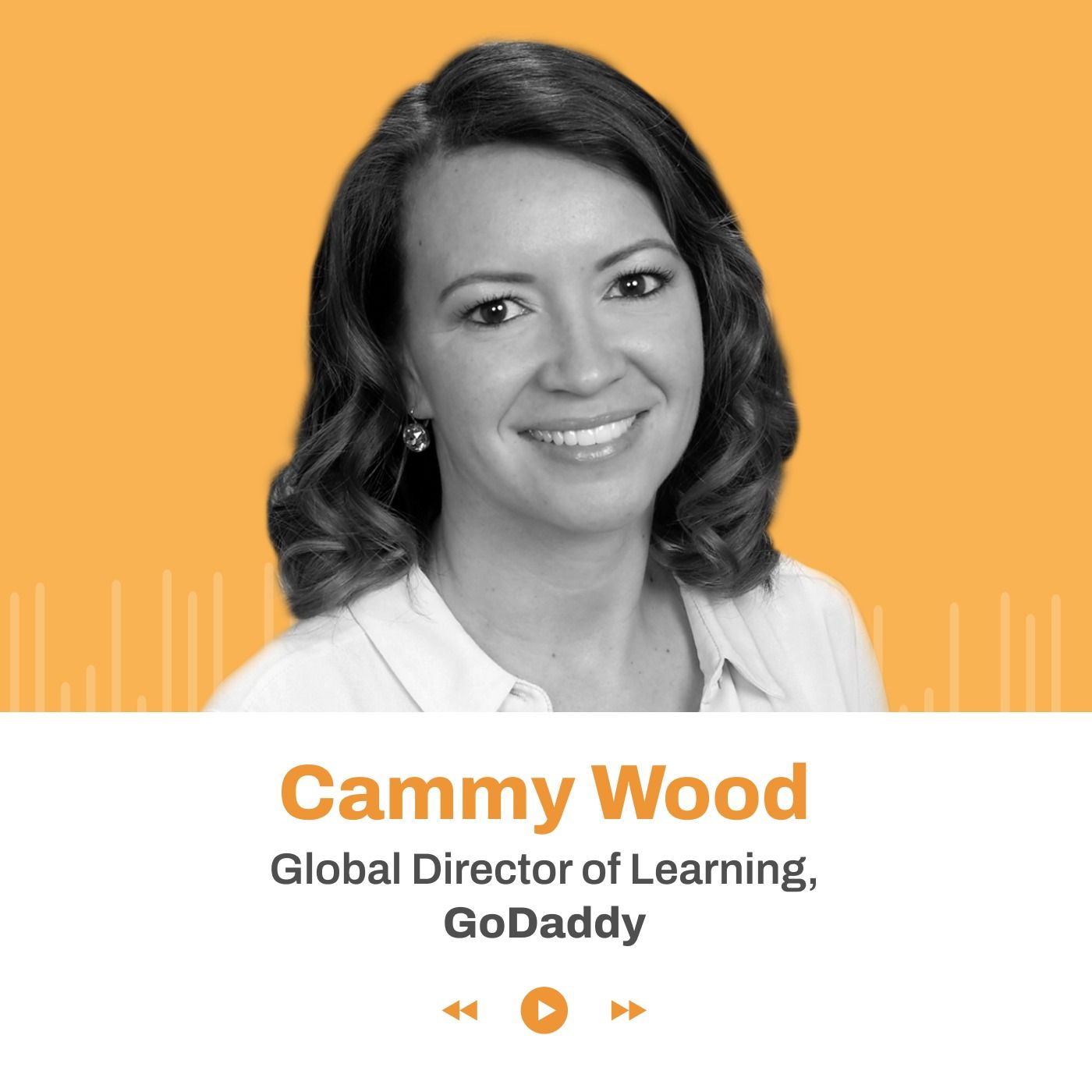 The Digital Adoption Show | Upskilling the Future Digital Workforce