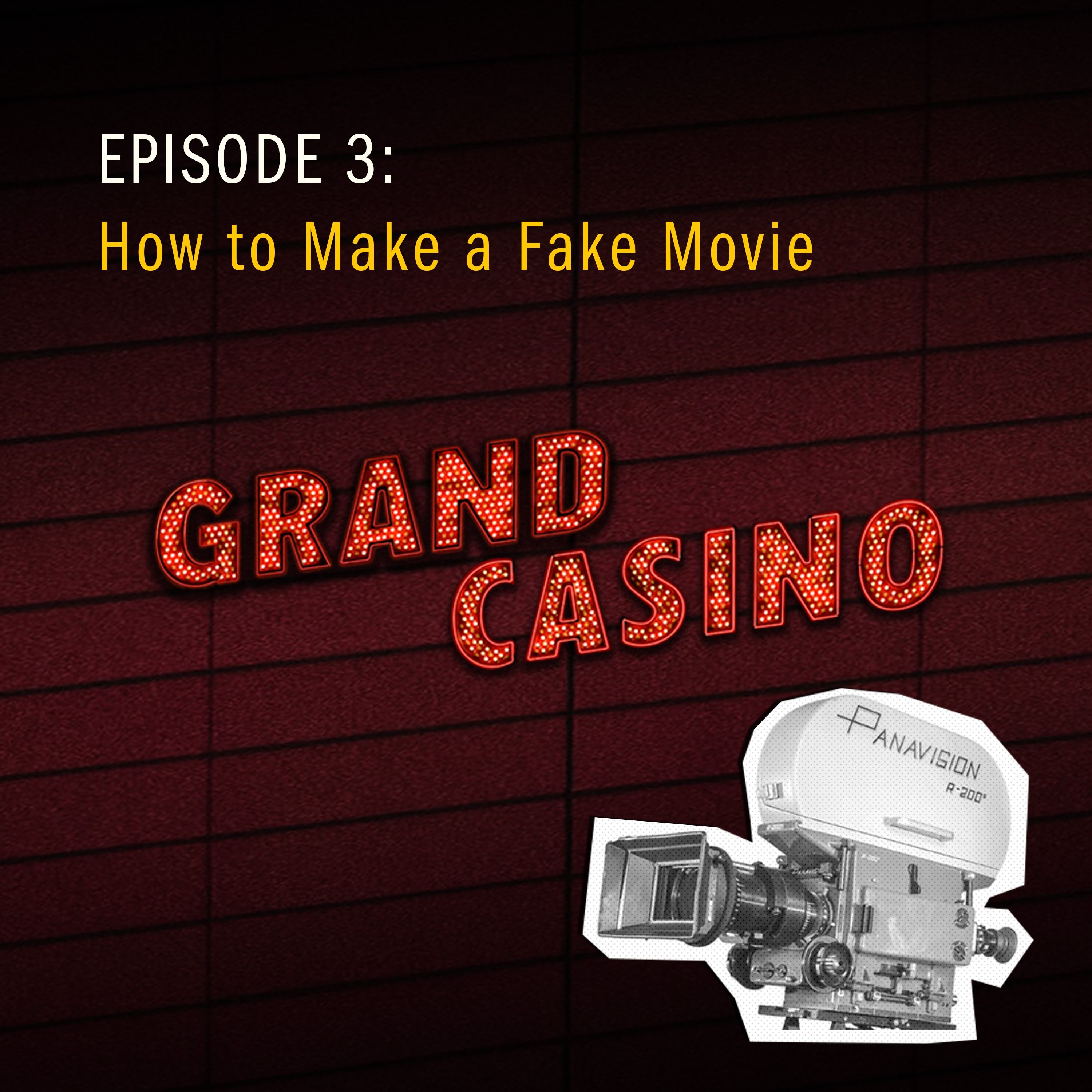 3: How to Make a Fake Movie