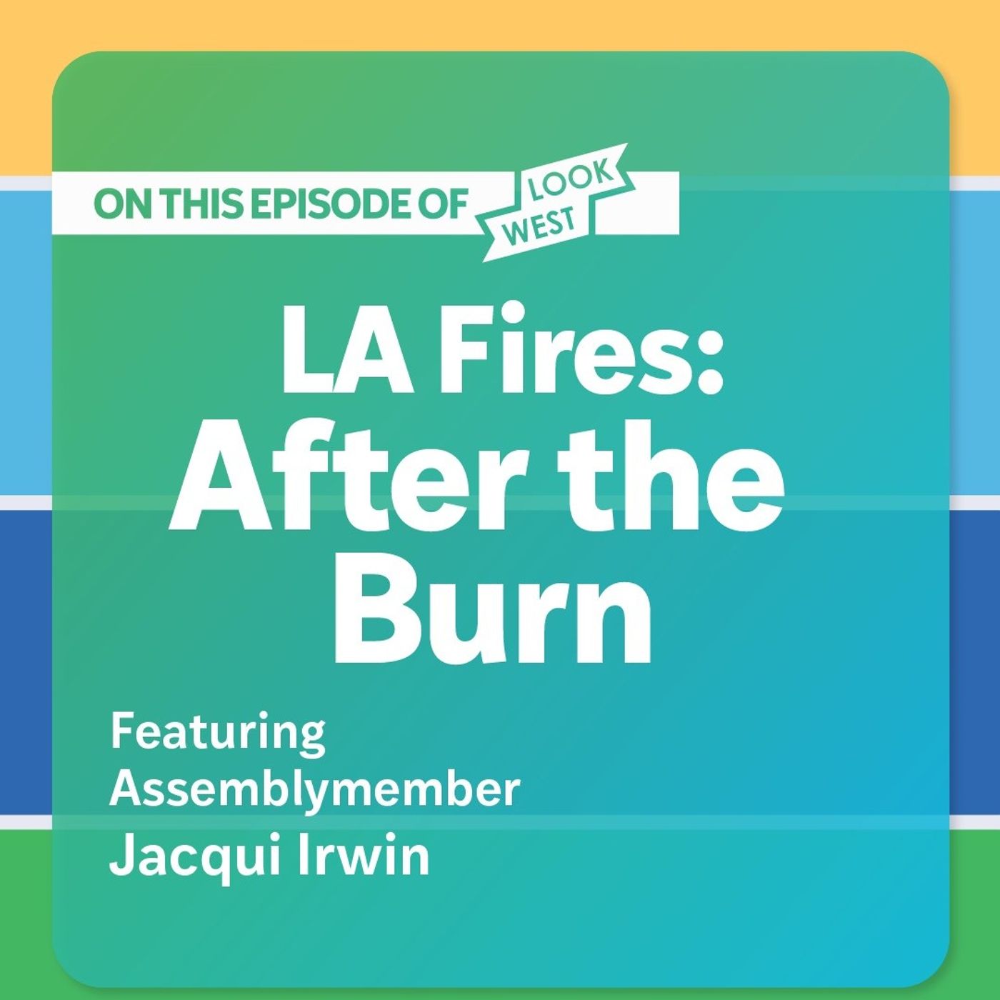 LA Fires - After the Burn