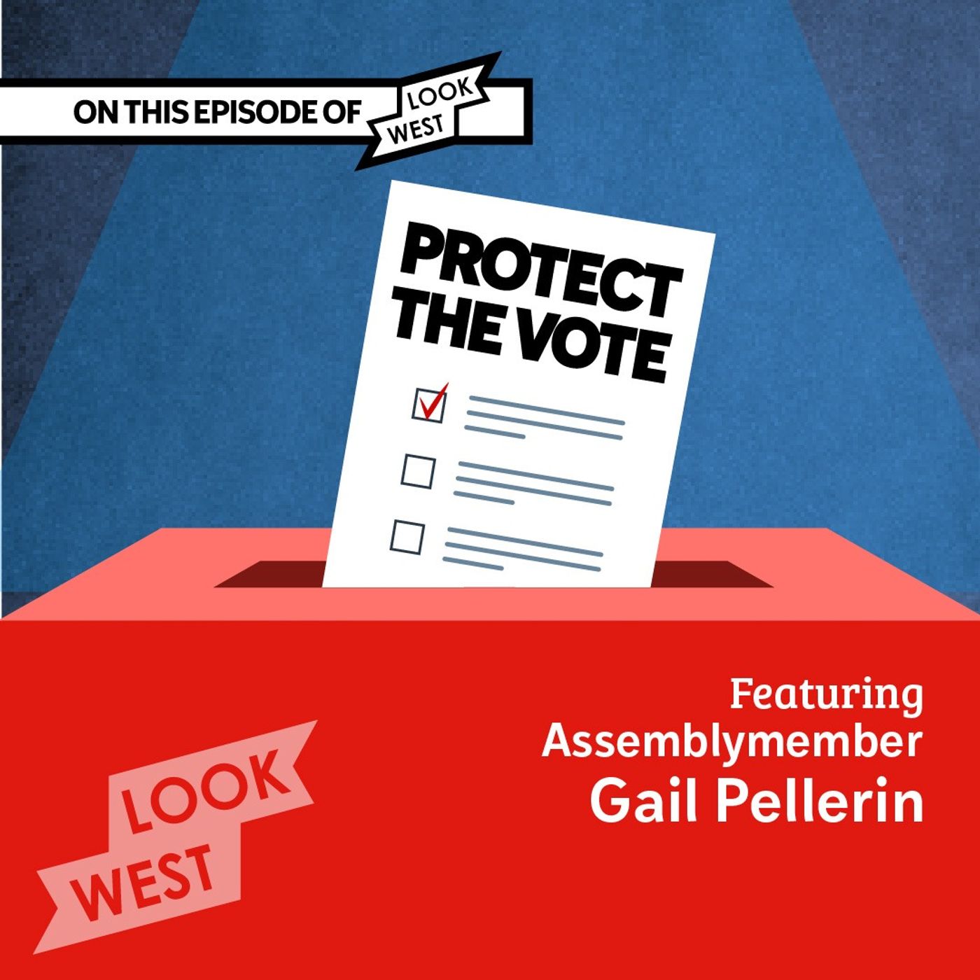 Protect the Vote
