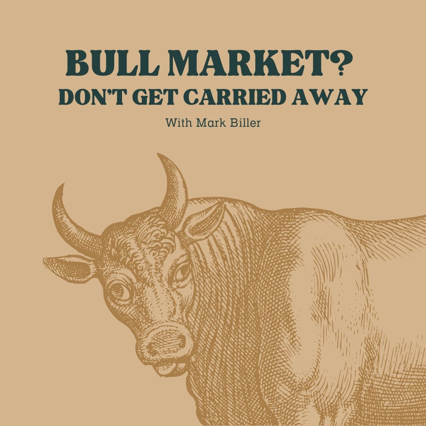 Bull Market? Don’t Get Carried Away with Mark Biller