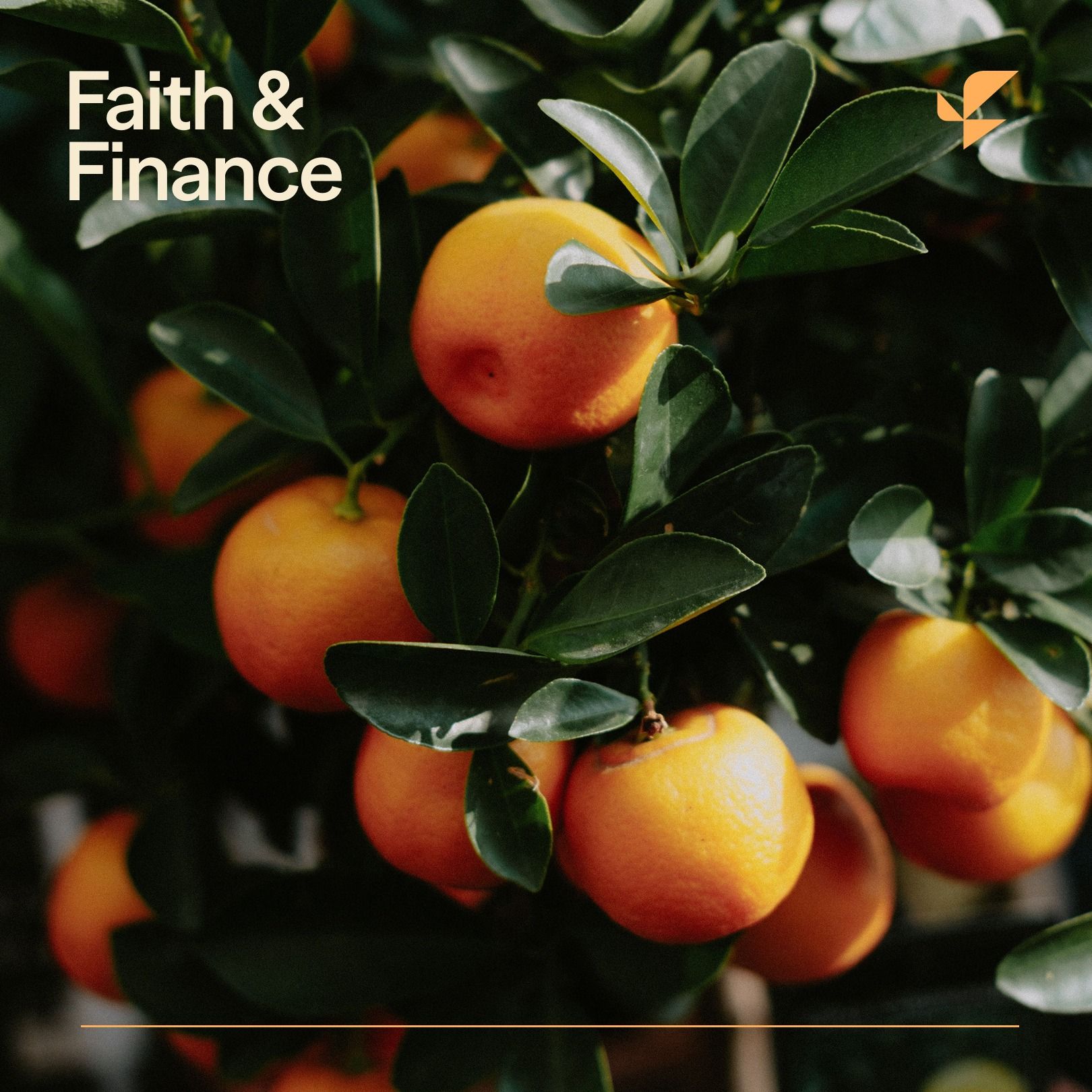 Stewarding Retirement — Faith & Finance cover