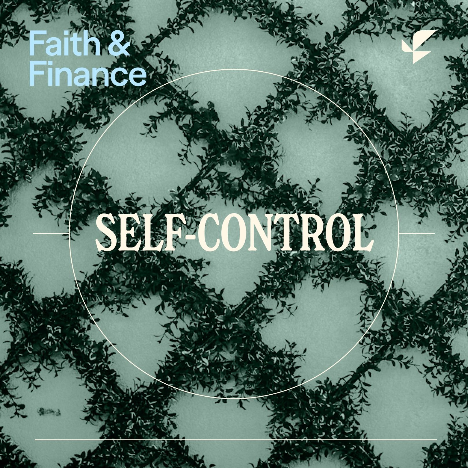 Financial Virtues Series: Temperance (Self-Control) with Pierce Taylor Hibbs episode artwork