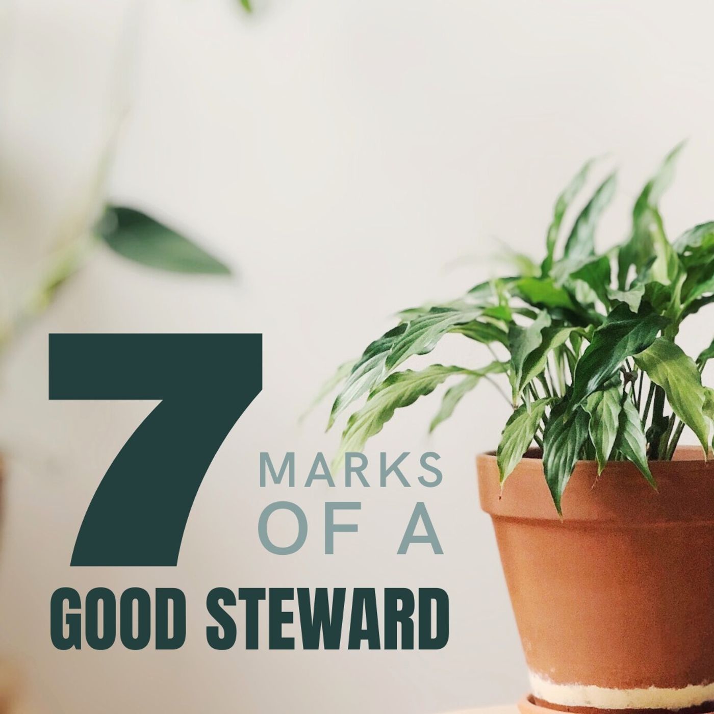 7 Marks of a Good Steward