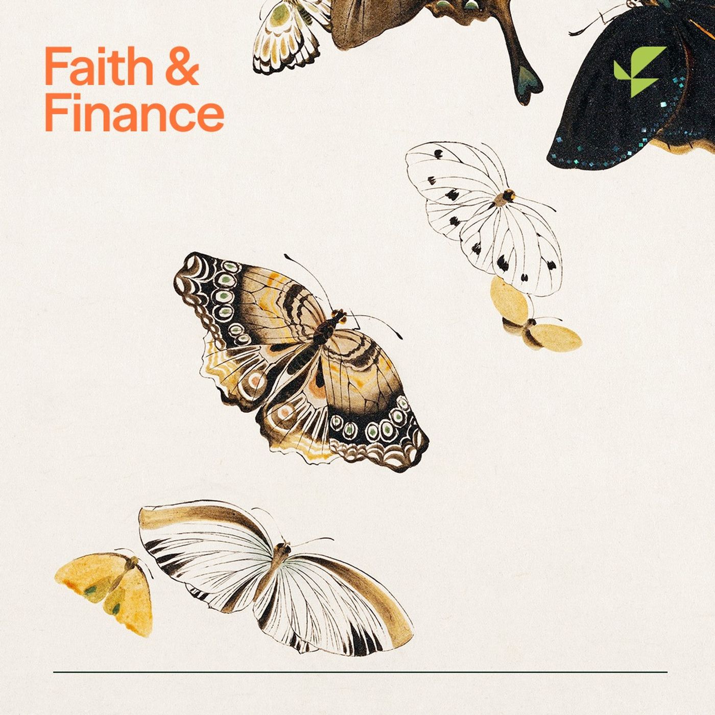 Faith & Finance - Helping Hands for Widows’ Needs: Rene’s Story episode artwork