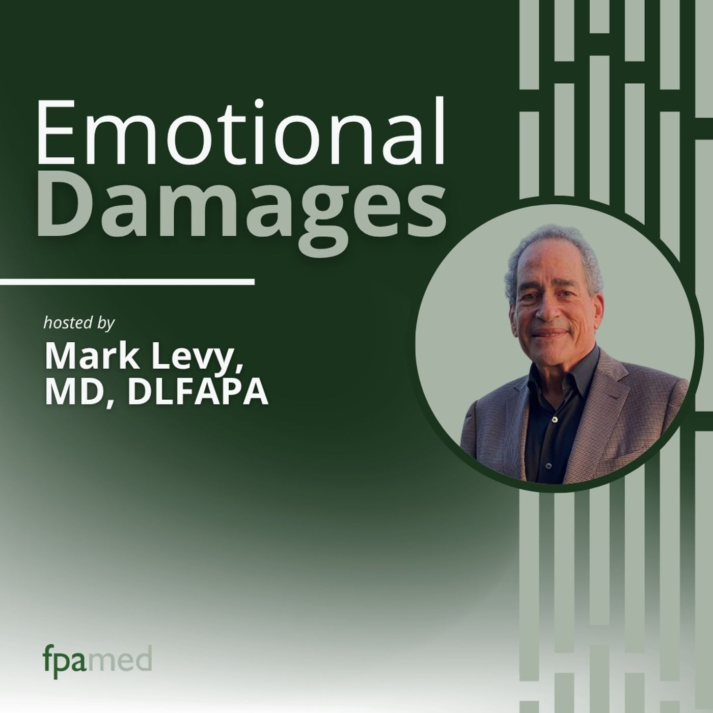 Emotional Damages: Practical Insights into Forensic Psychiatry for Litigating Attorneys