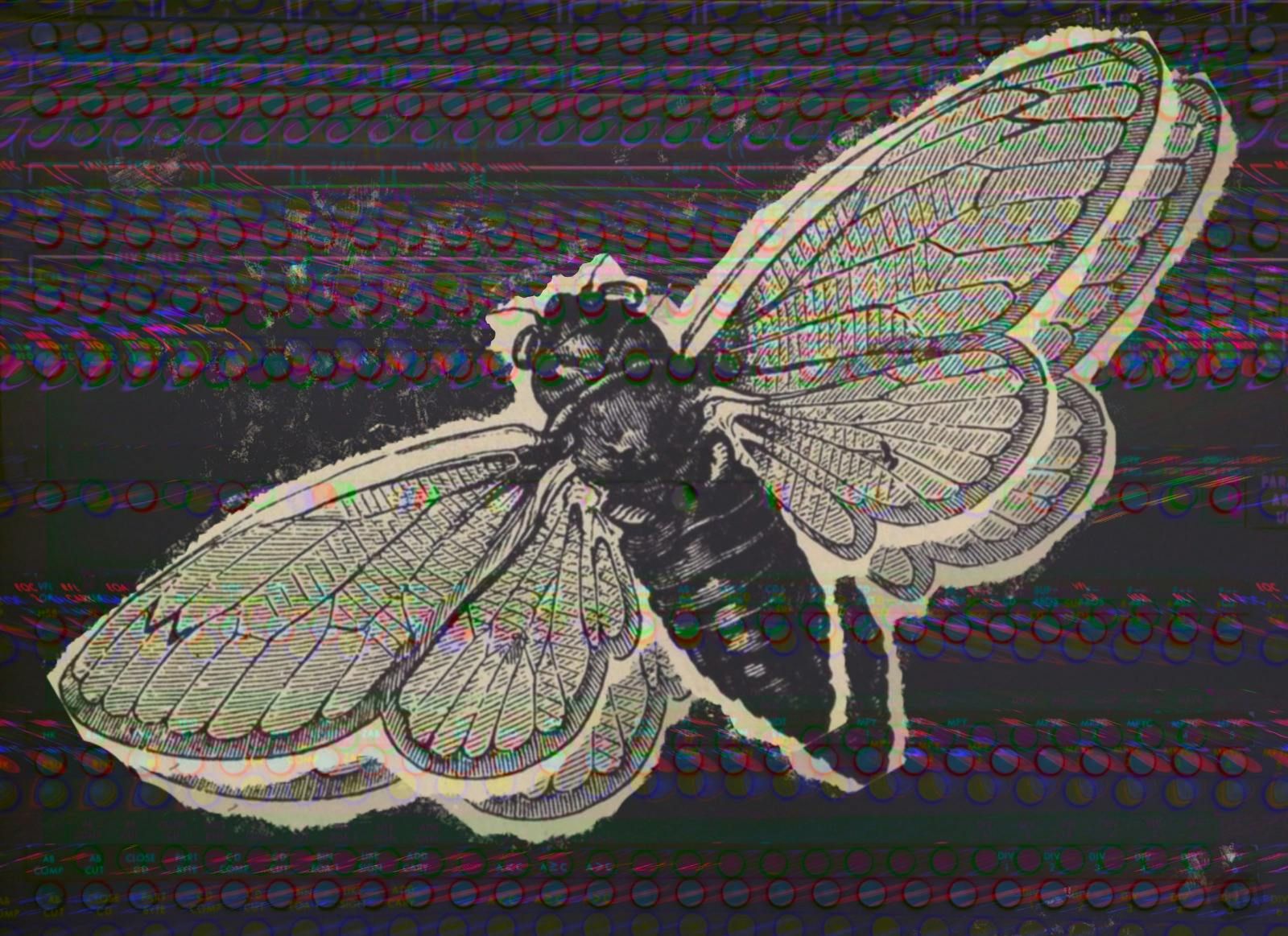 Bug episode artwork