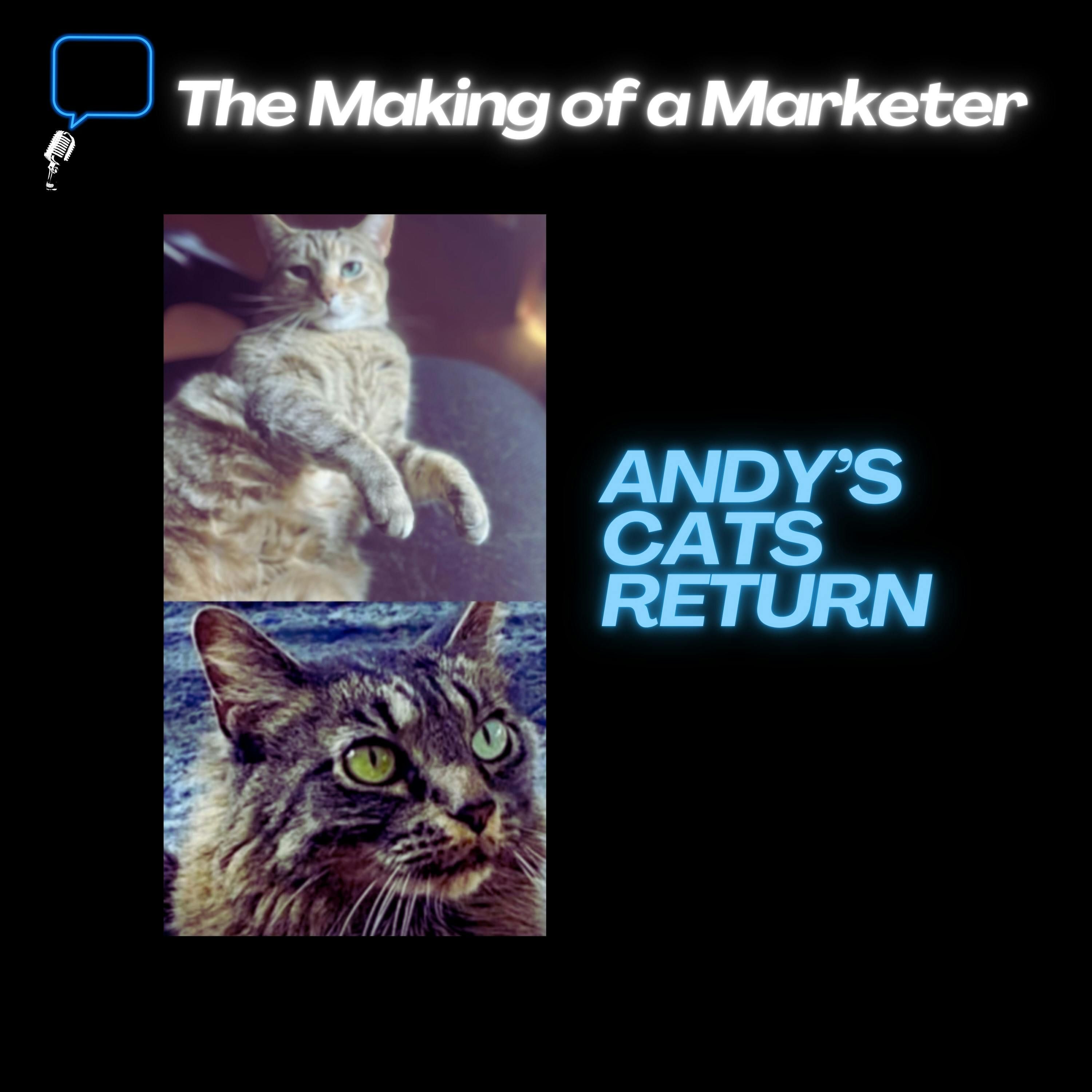 The Making of a Marketer – The KPI of Building Community