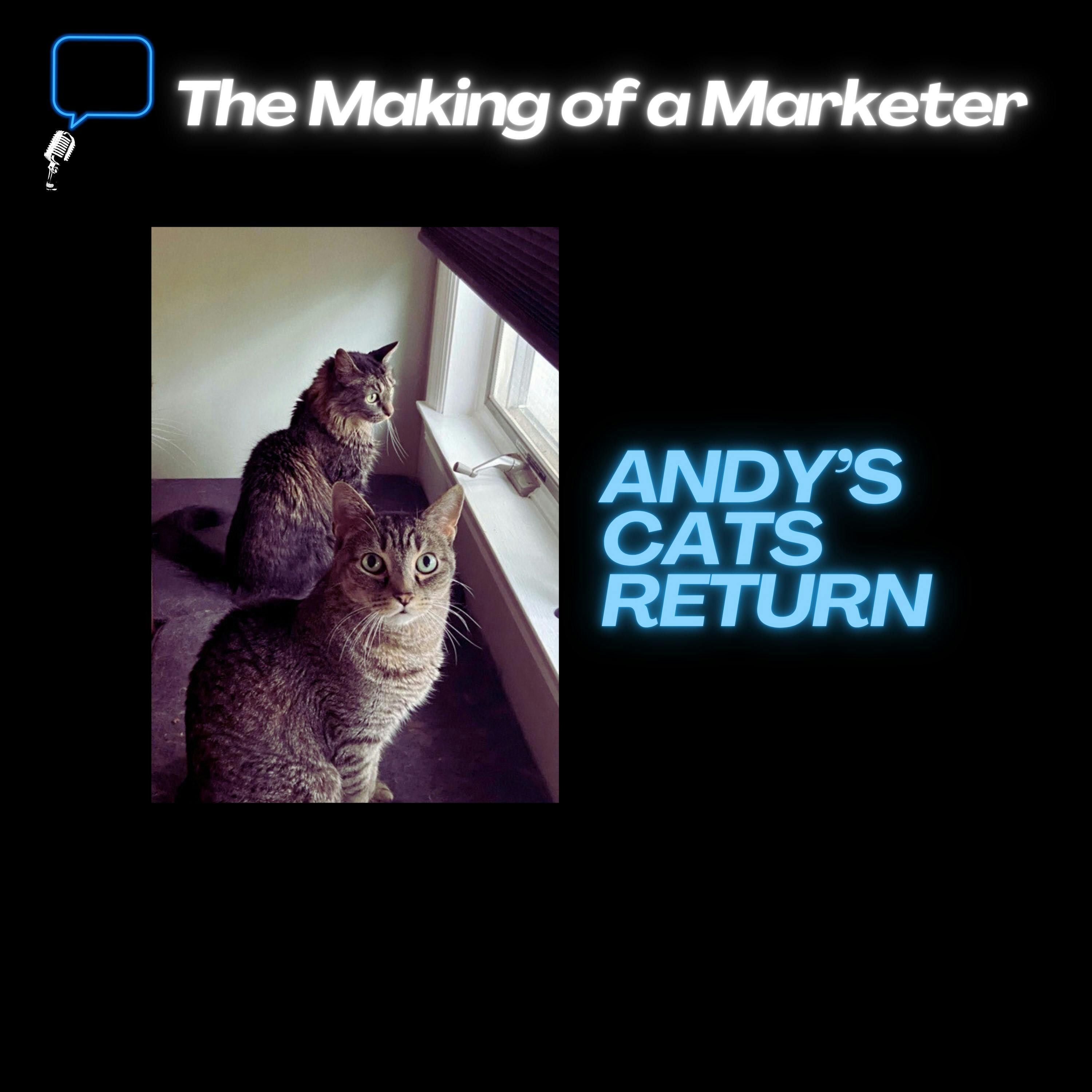 The Making of a Marketer – Memorial Day Marketing Banter