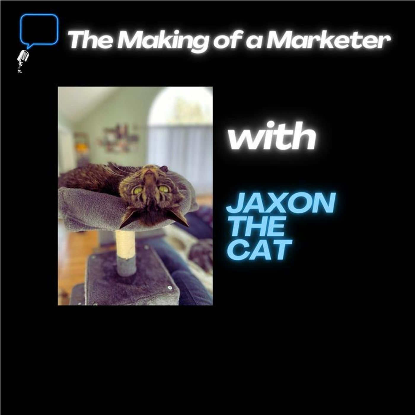 The Making of a Marketer – Summertime Marketing Guide