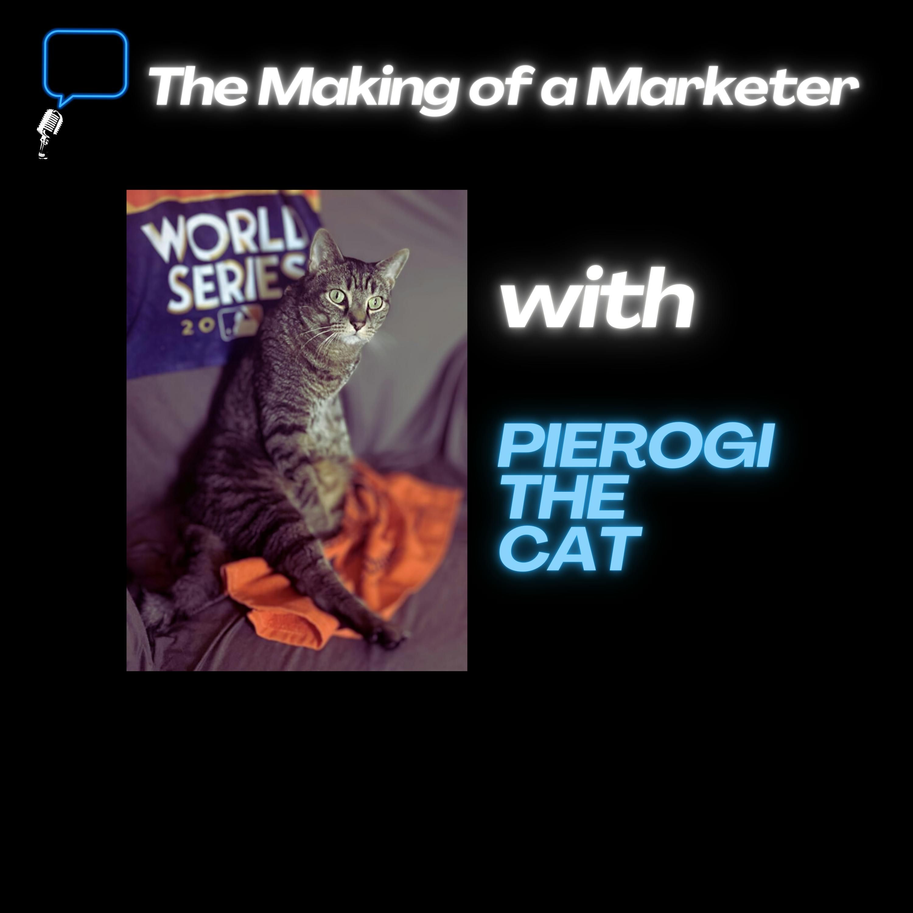 The Making of a Marketer – Fyre Marketing Friday