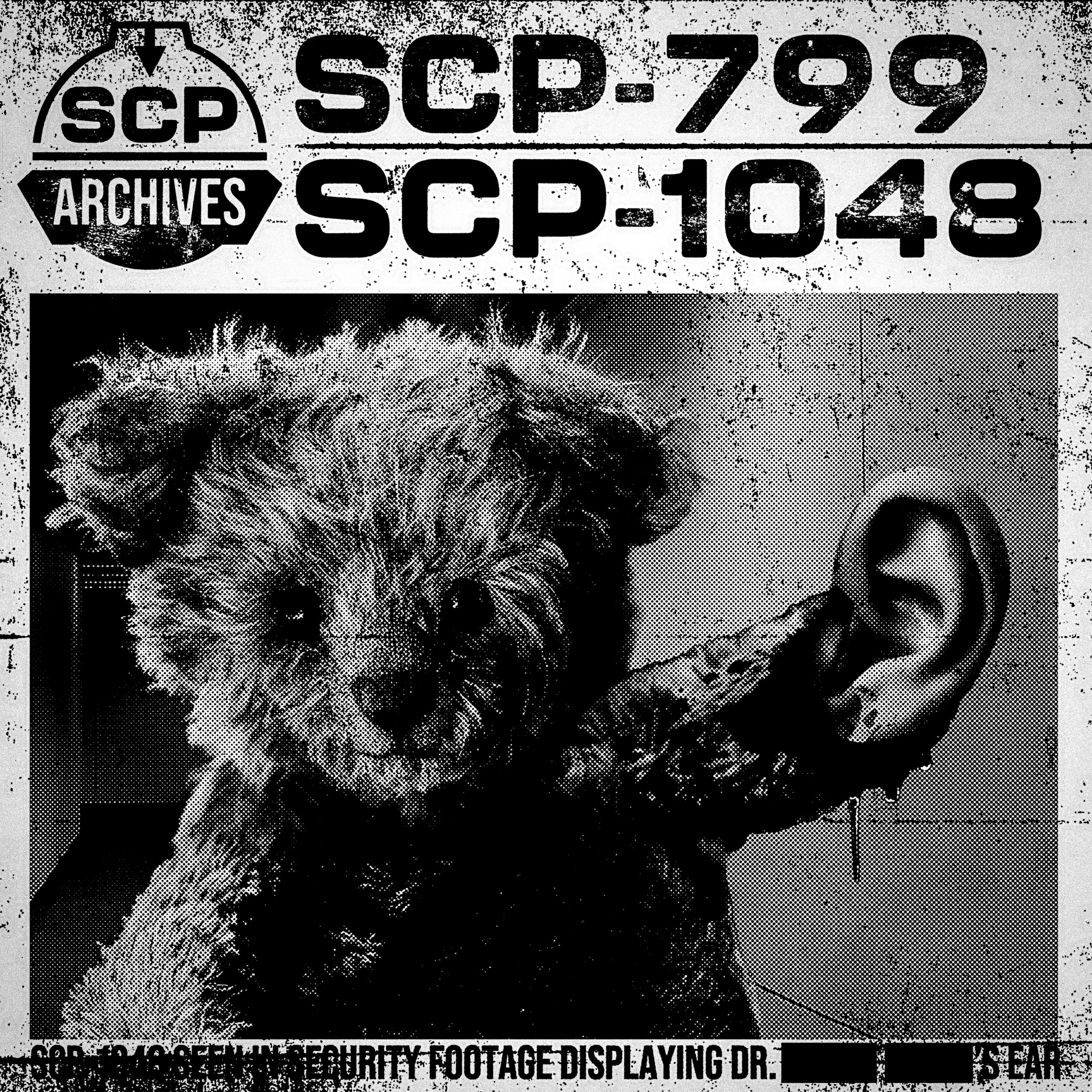 SCP-799: "Carnivorous Blanket” and SCP-1048: “The Builder Bear”