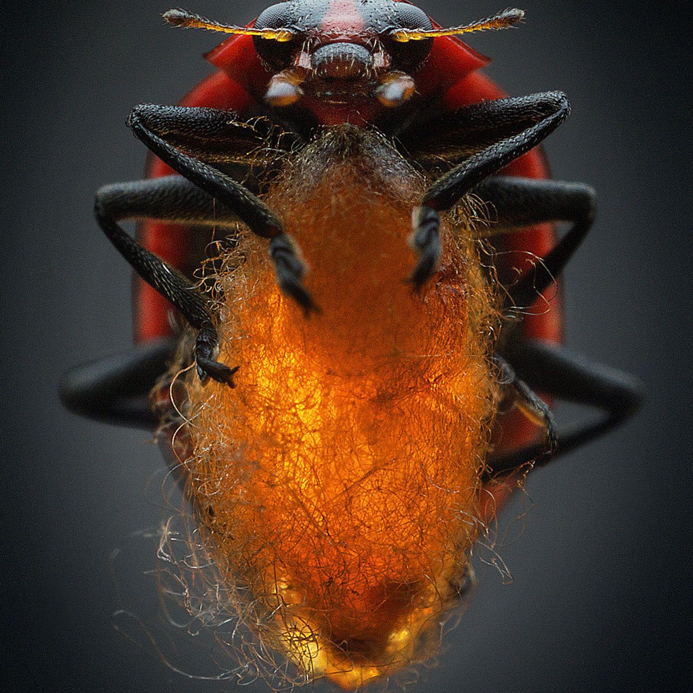 Nature's Parasitic Hellscape