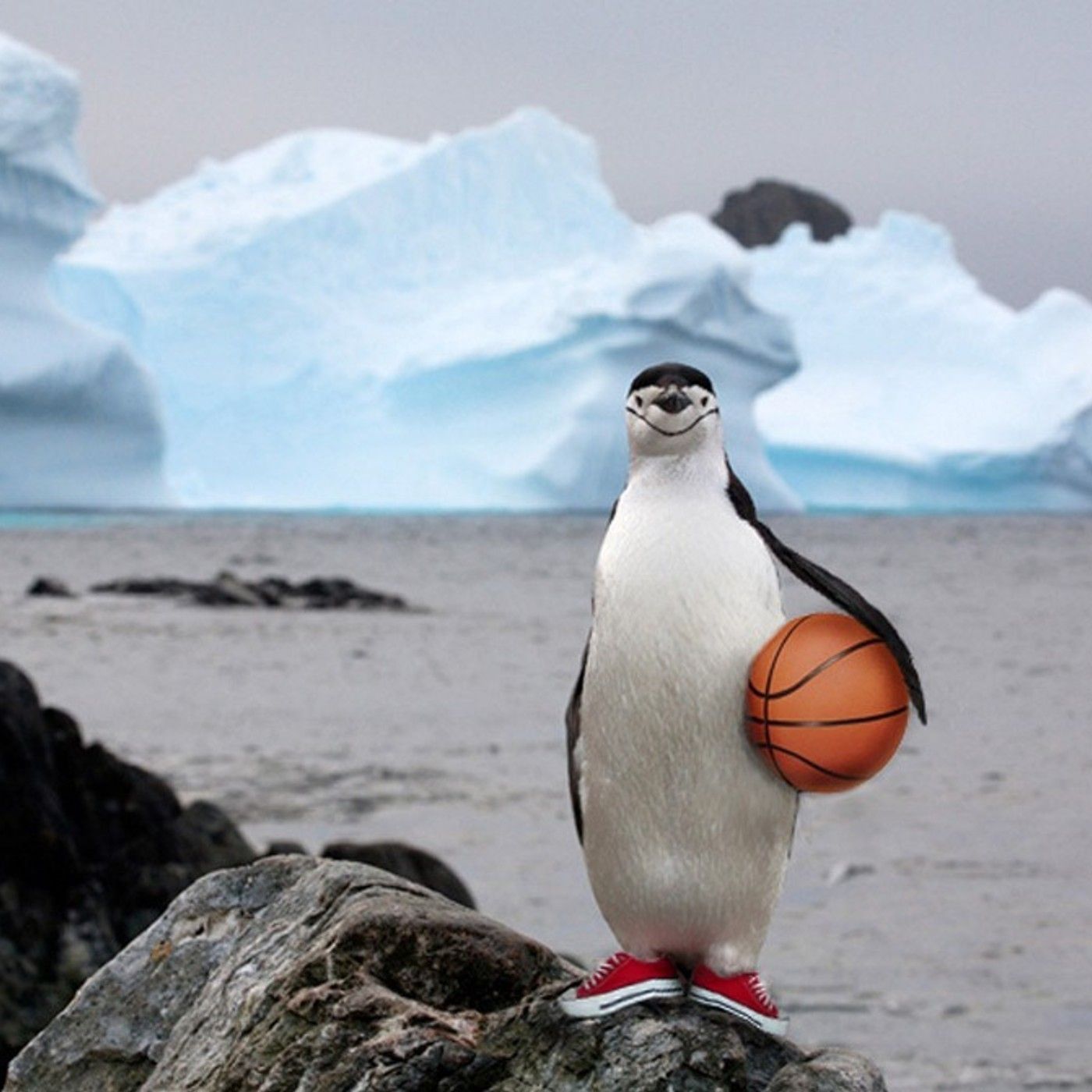 White Penguins Can't Jump