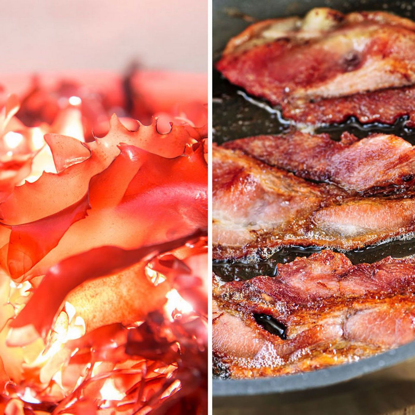 See Weed, Taste Bacon