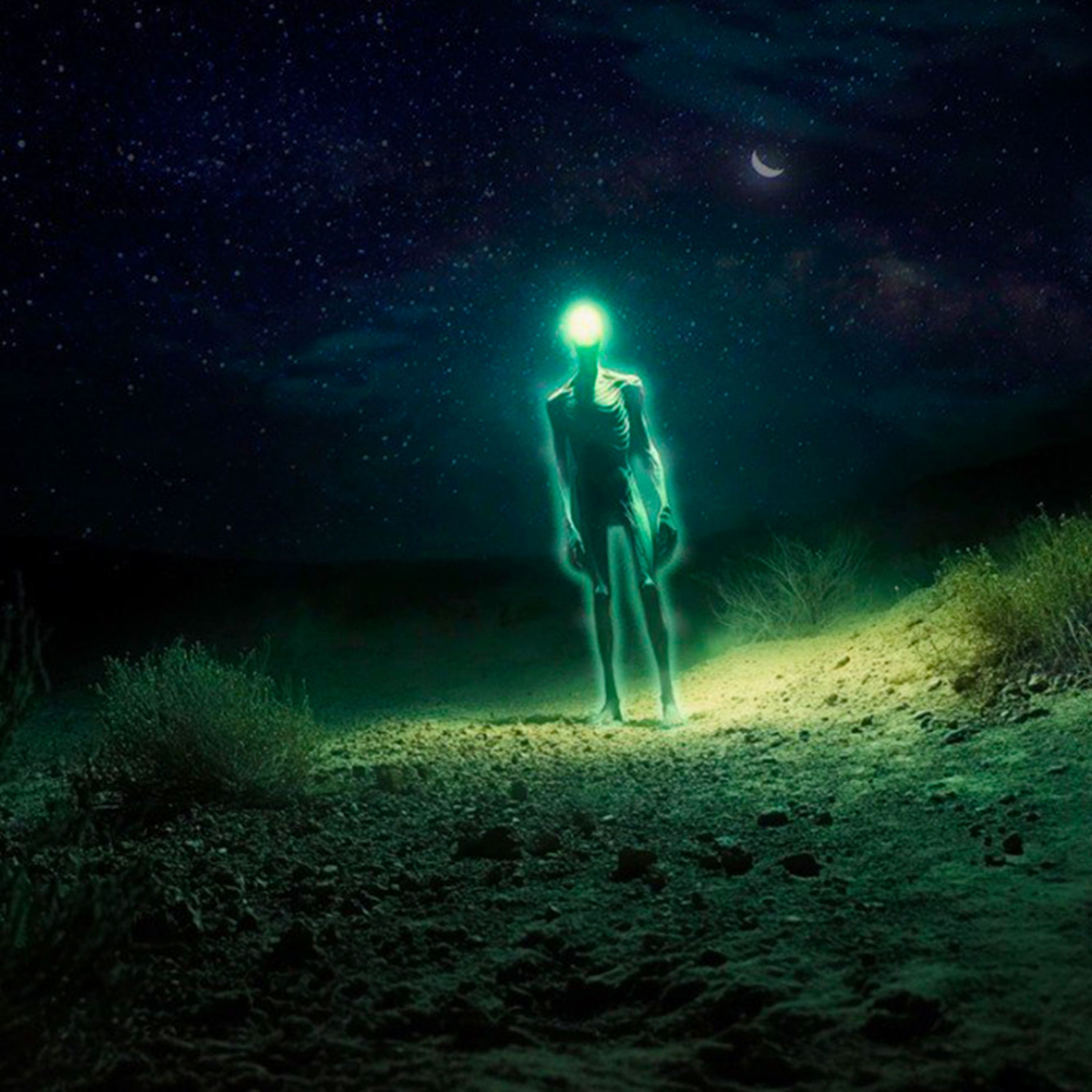 Relato de terror en la zona del silencio episode artwork