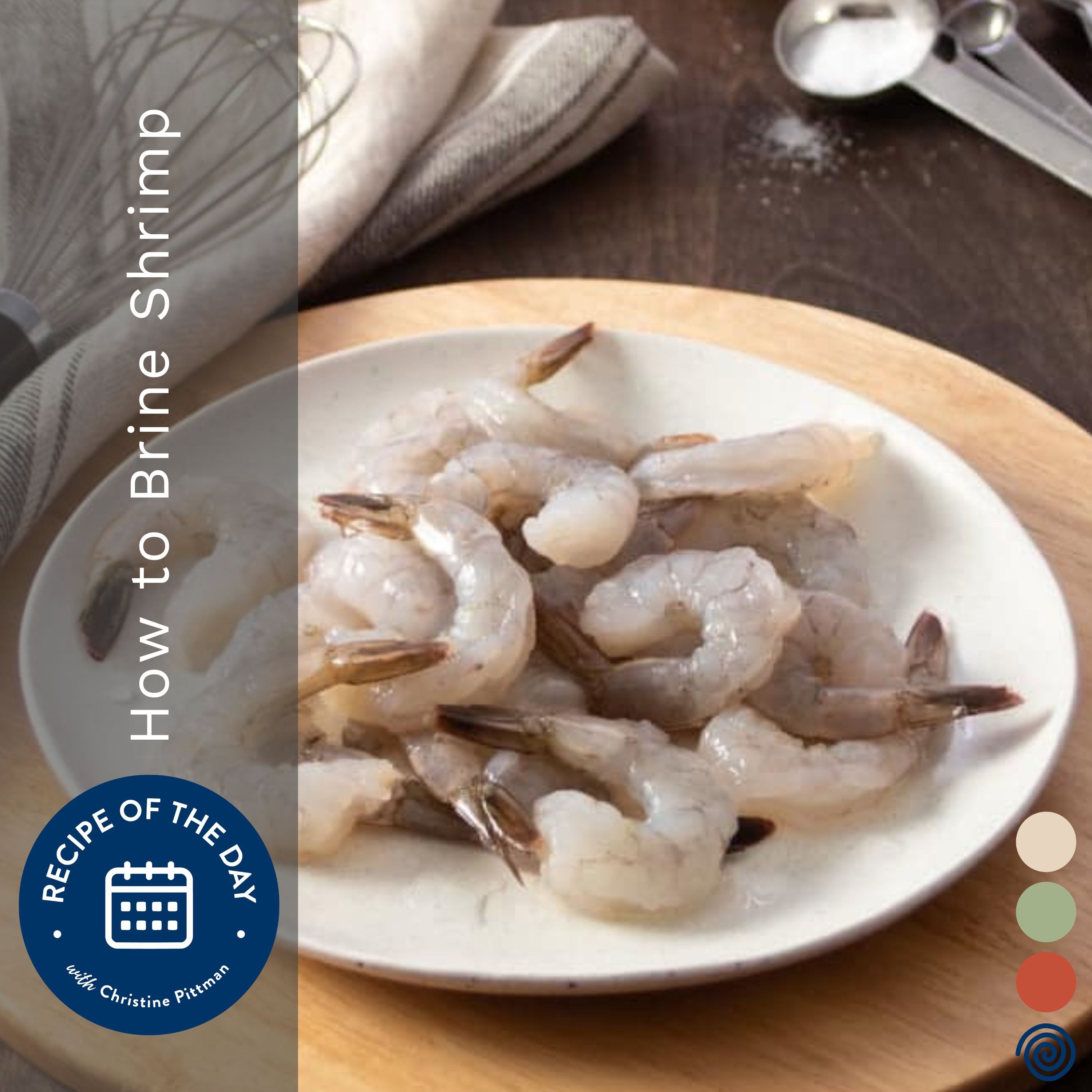 How to Brine Shrimp