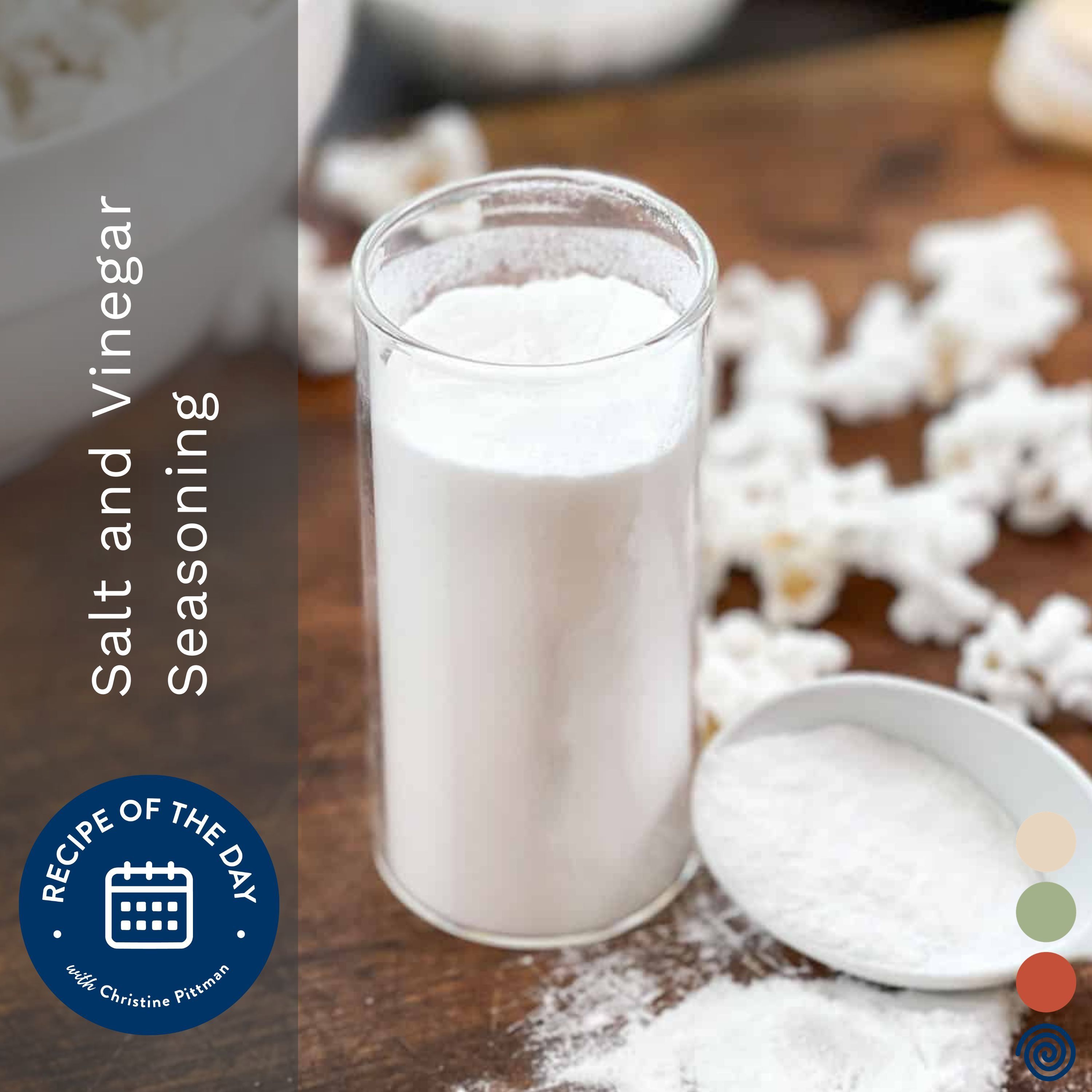 Salt and Vinegar Seasoning
